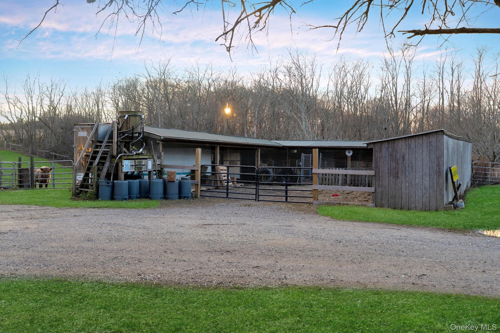 156 Youngs Avenue thumbnail 29
