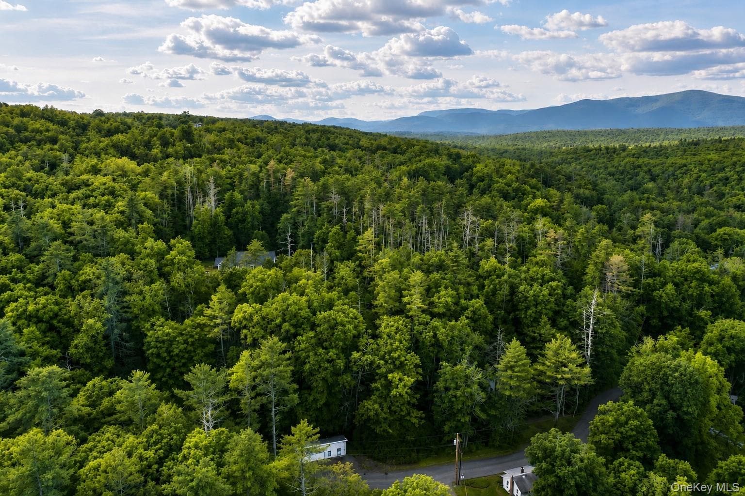 20 Wintergreen Hill Road thumbnail 8