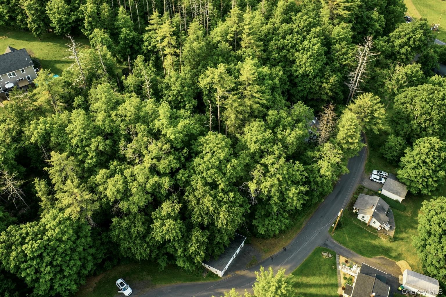 20 Wintergreen Hill Road thumbnail 12