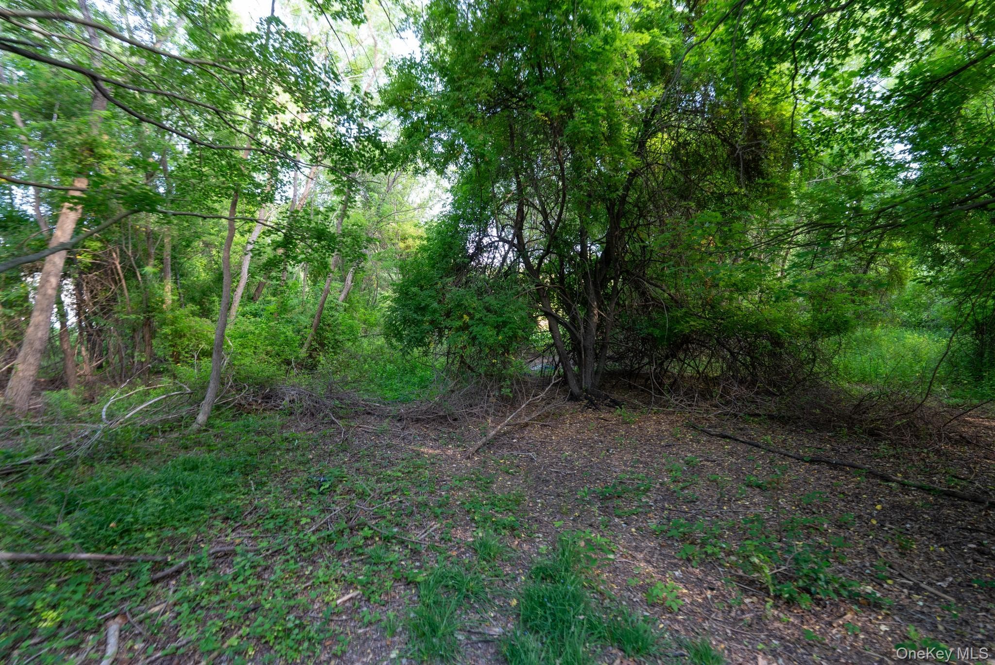 357 Smithtown Boulevard thumbnail 40