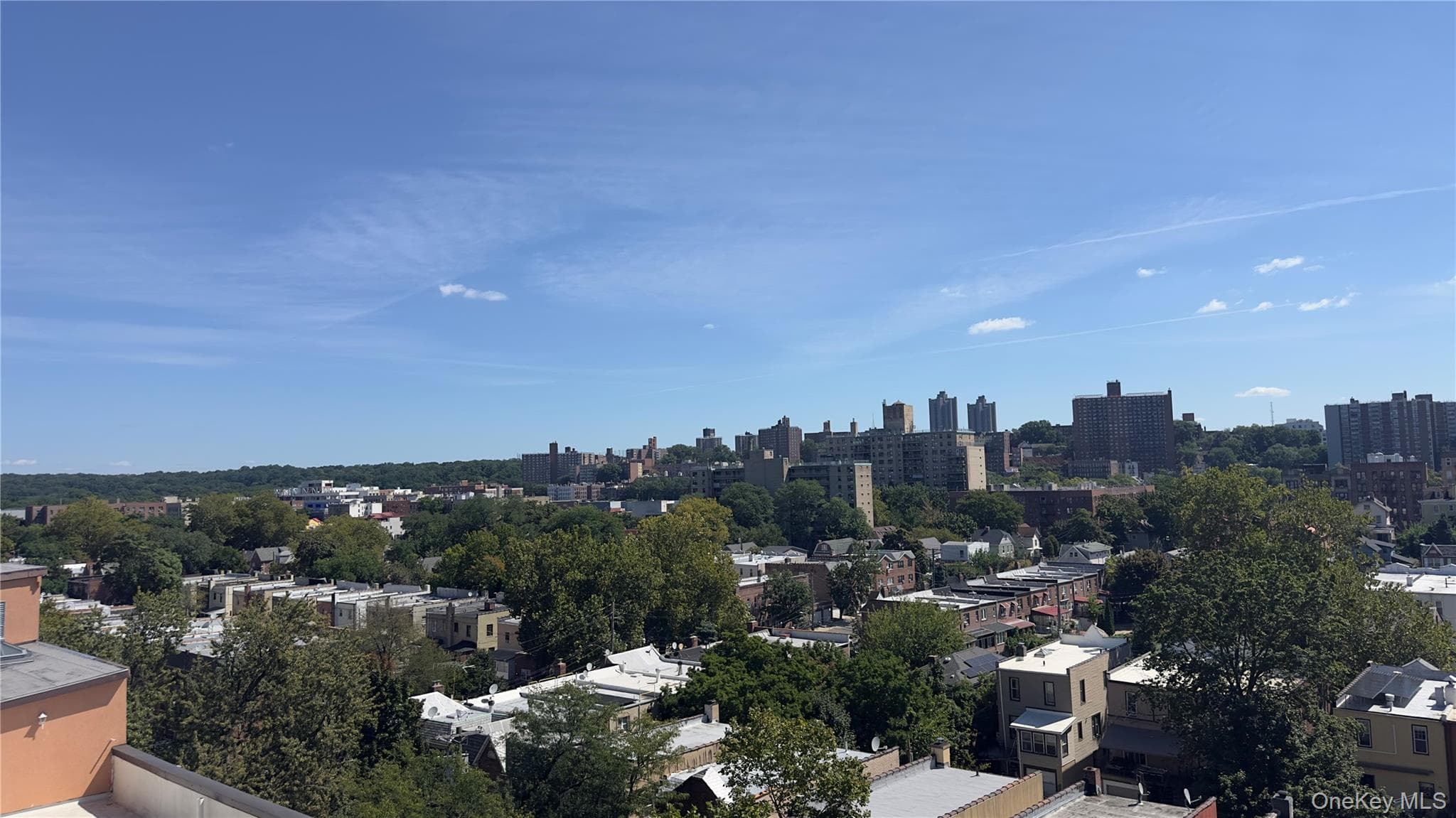 3240 Riverdale Avenue Unit: 3J thumbnail 13