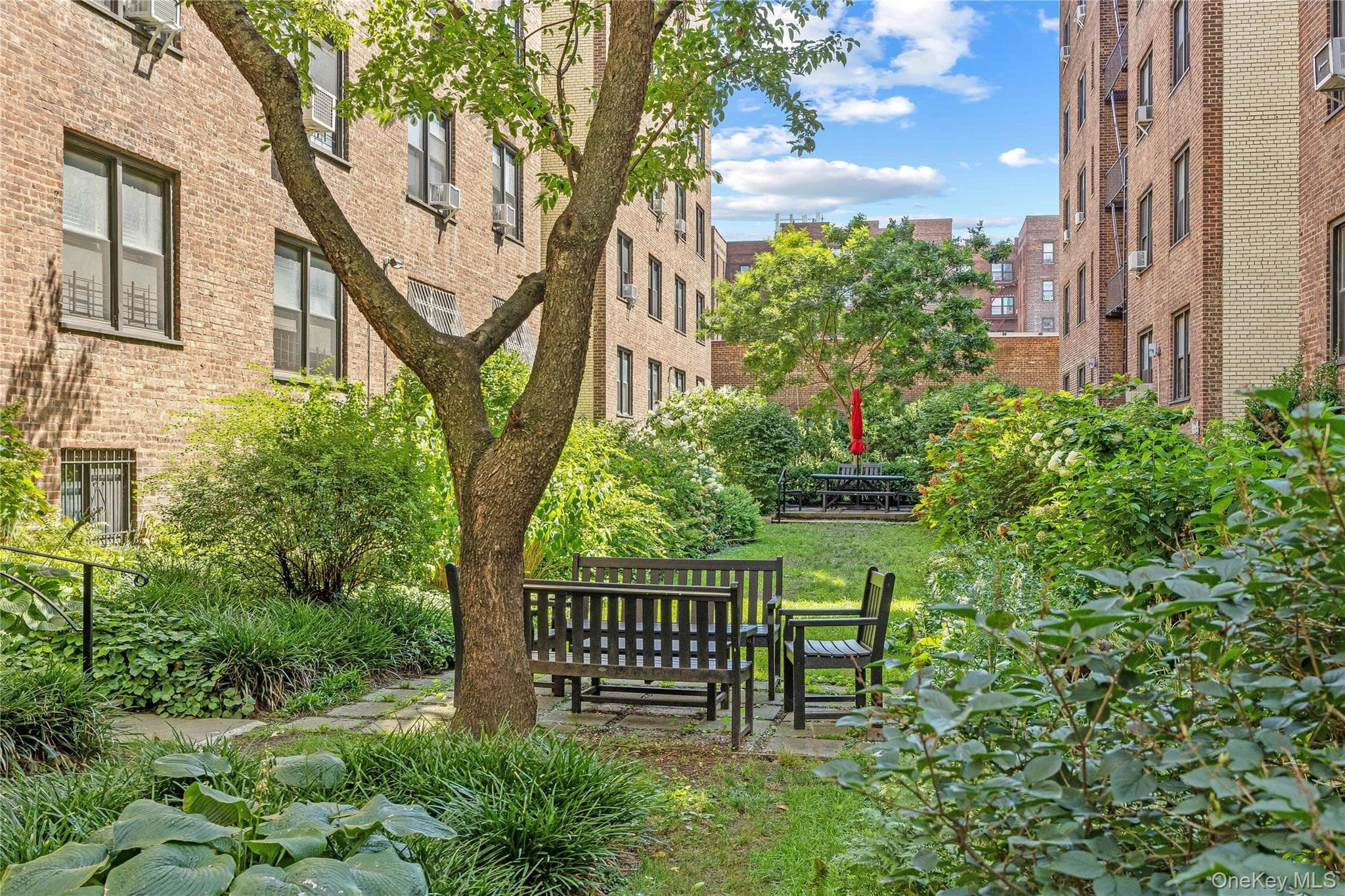 35-35 75th Street Unit: 401 thumbnail 14