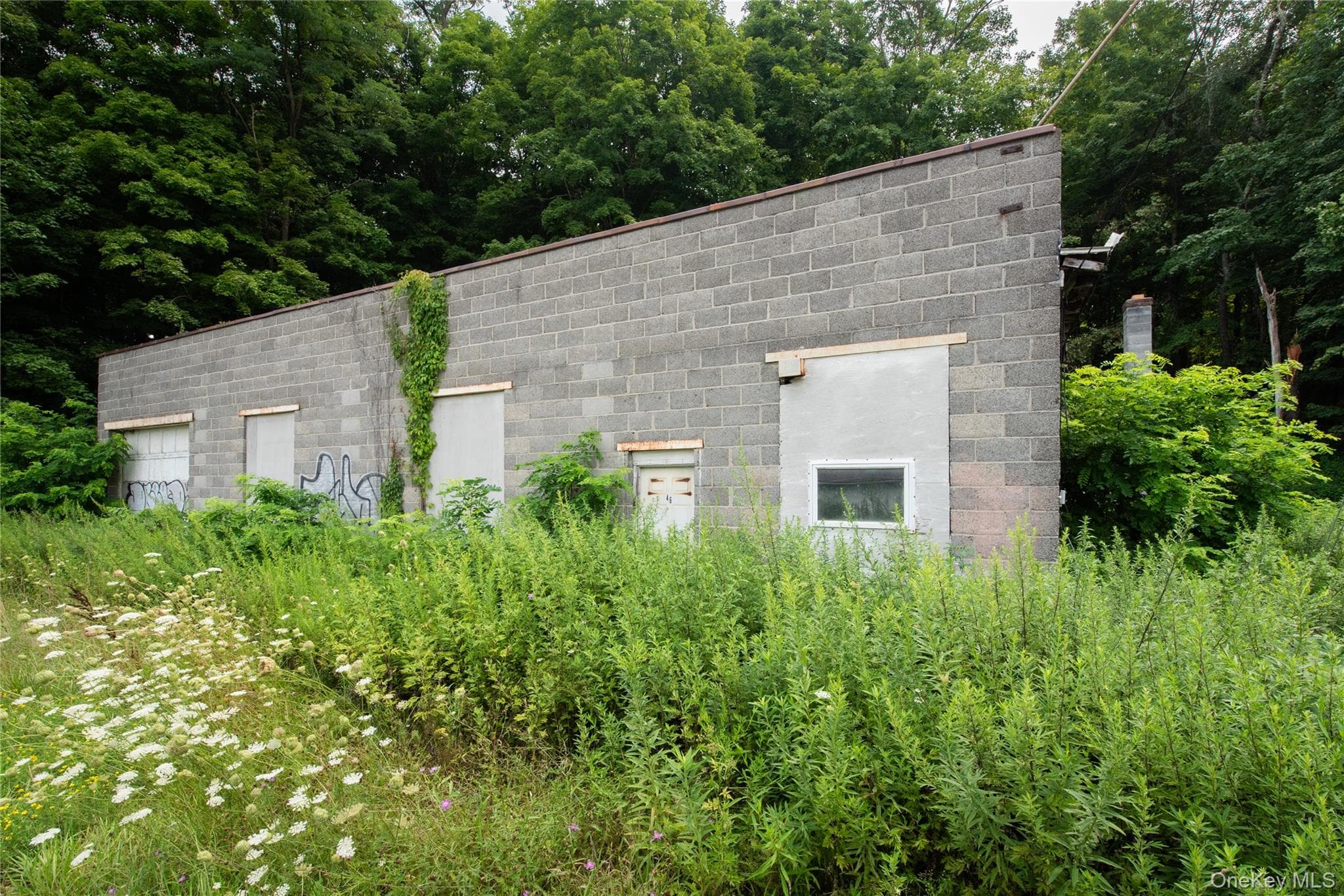 46 South Avenue thumbnail 3