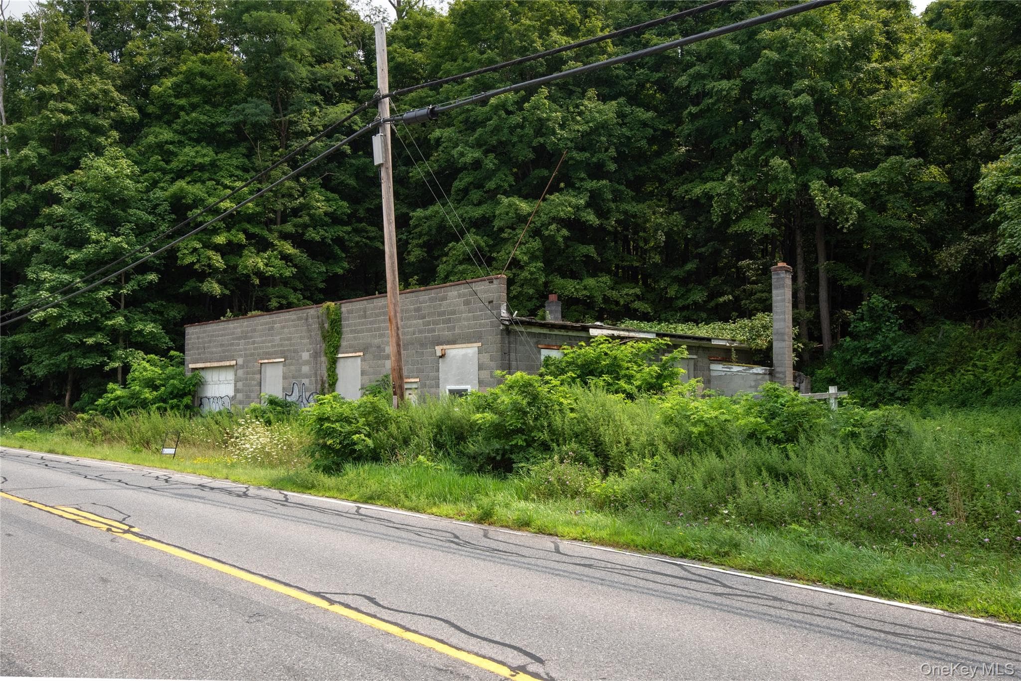 46 South Avenue thumbnail 4