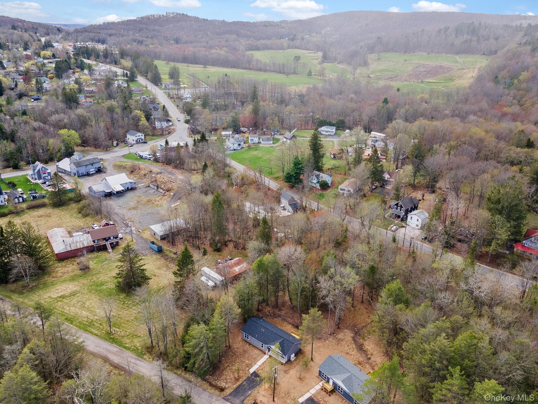 45 Pinehurst Drive thumbnail 39