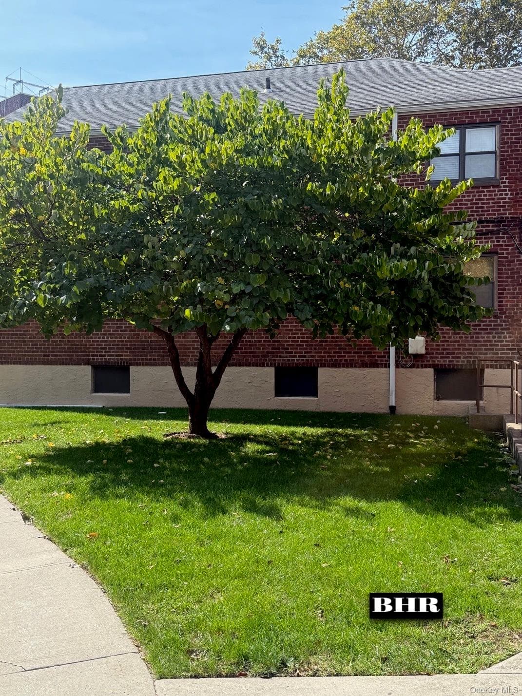 150-37 89th Street Unit: 22 thumbnail 19