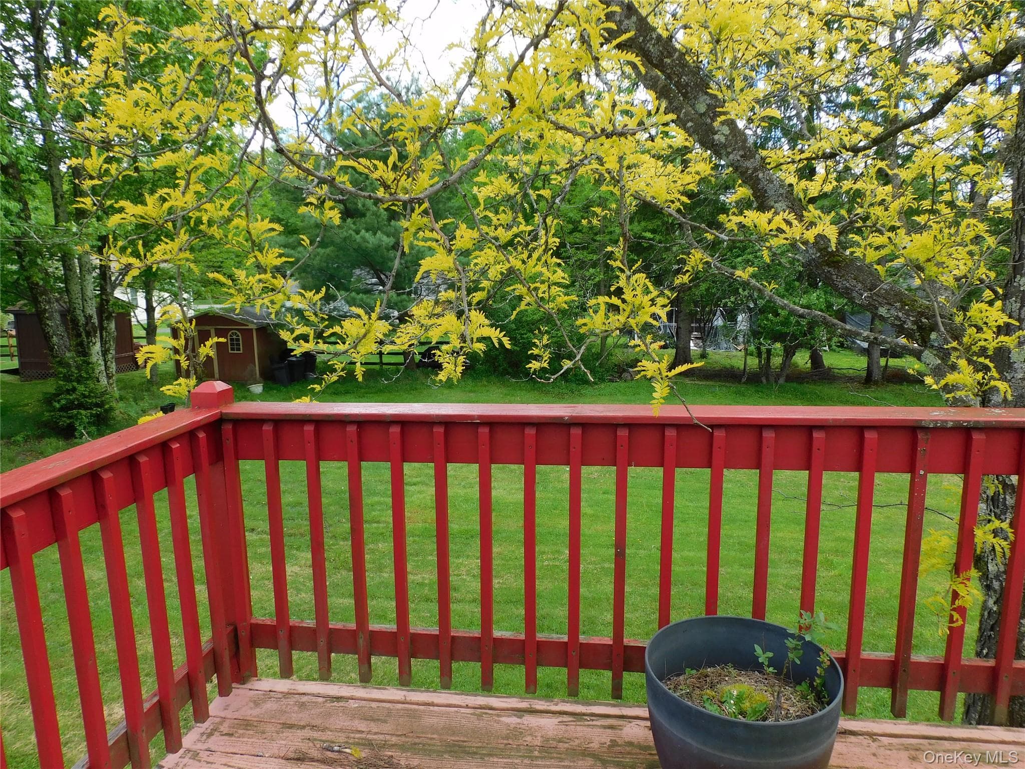 30 Kelly Avenue thumbnail 7