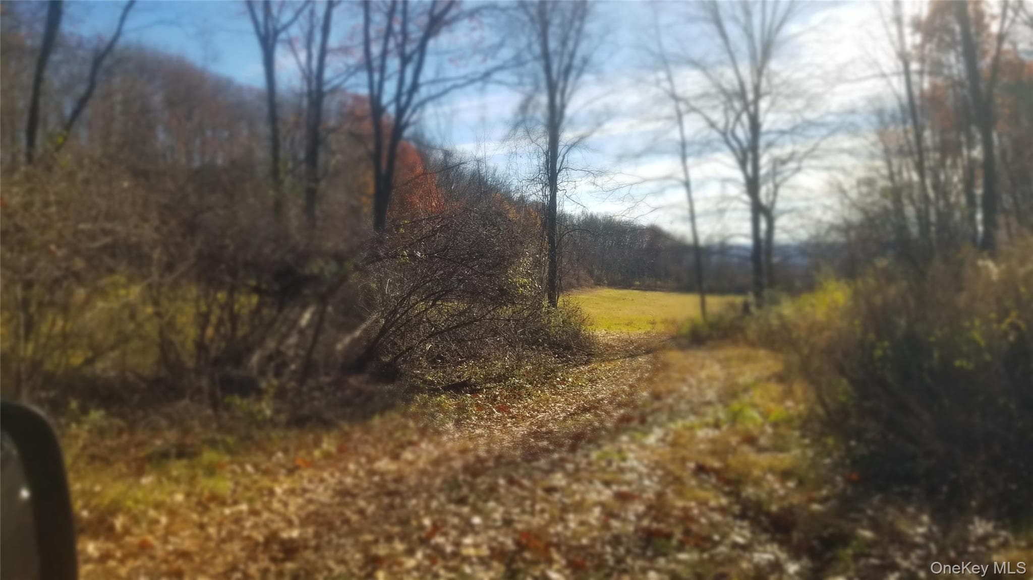 234 State Line Road thumbnail 13