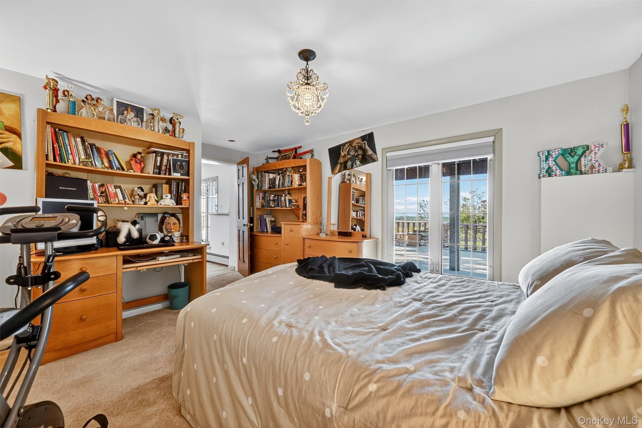 15 Curran Drive thumbnail 37