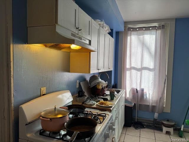 117 Renwick Street thumbnail 27