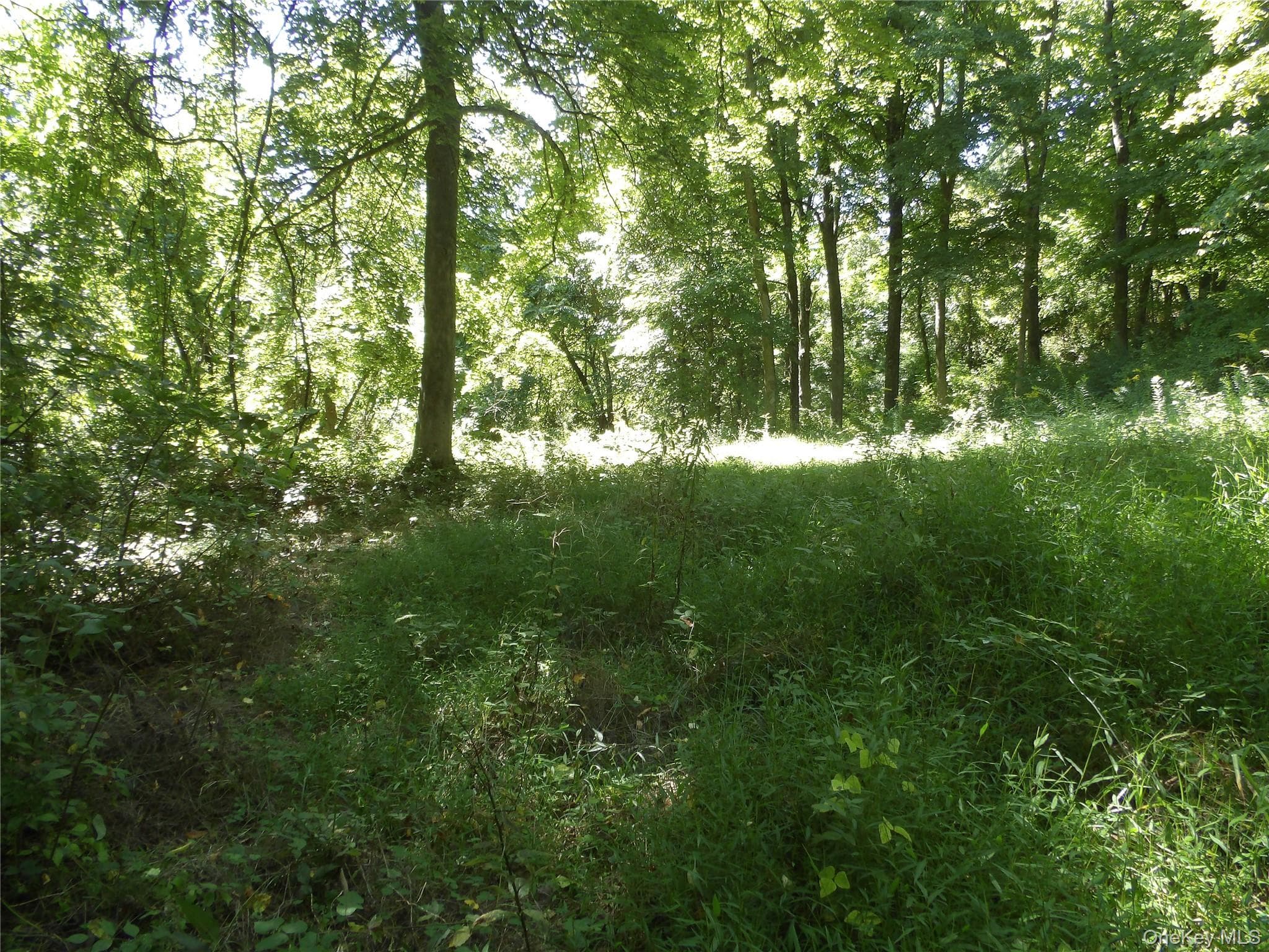 24 Hill Lane thumbnail 7