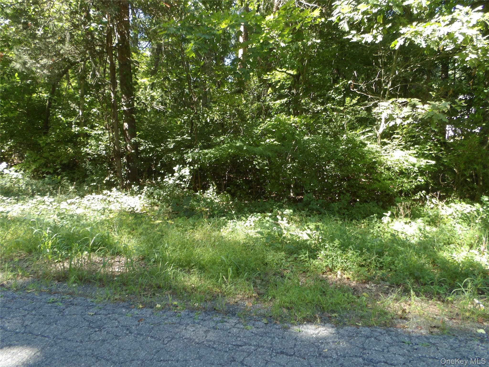 24 Hill Lane thumbnail 2