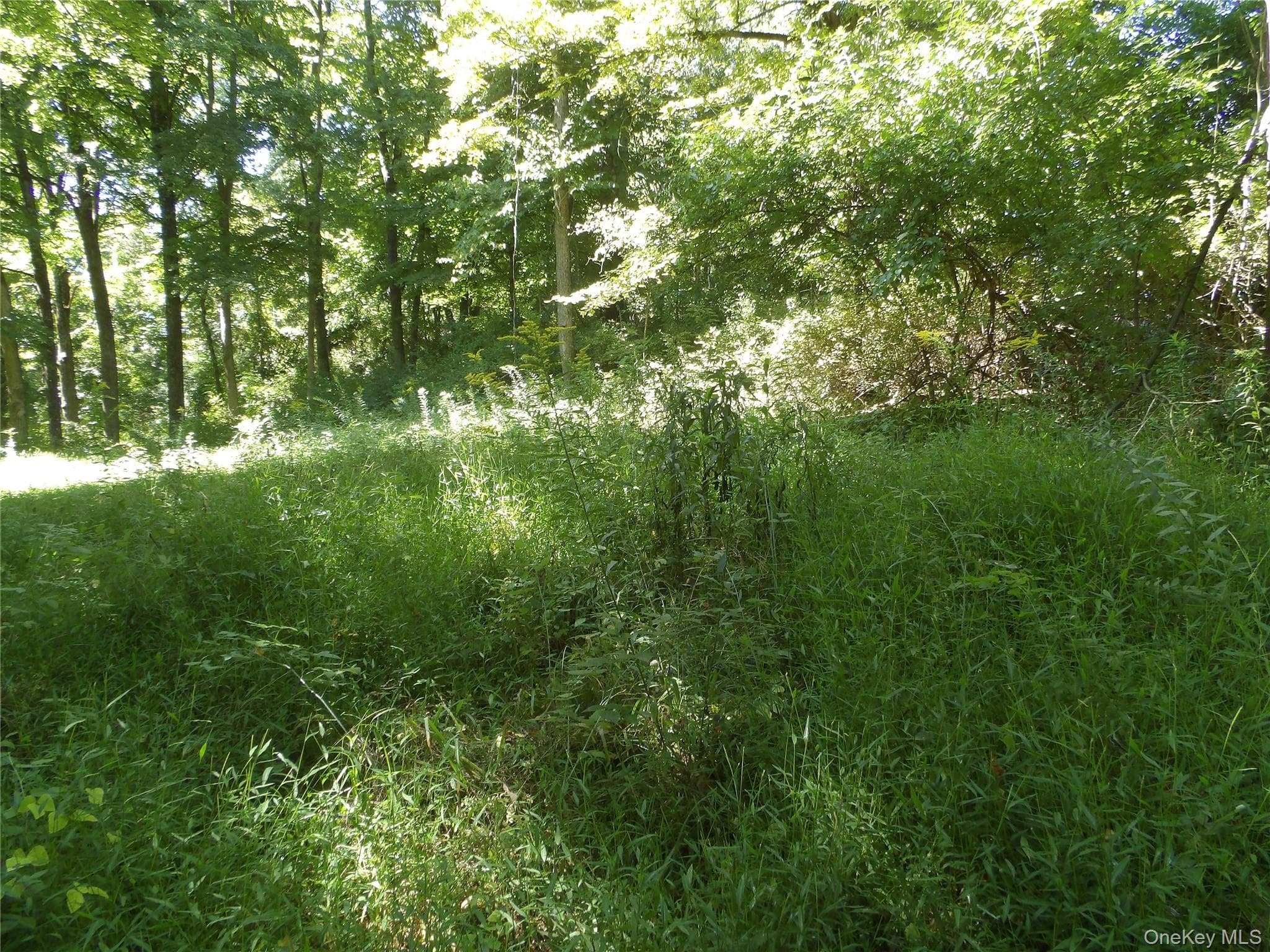 24 Hill Lane thumbnail 6
