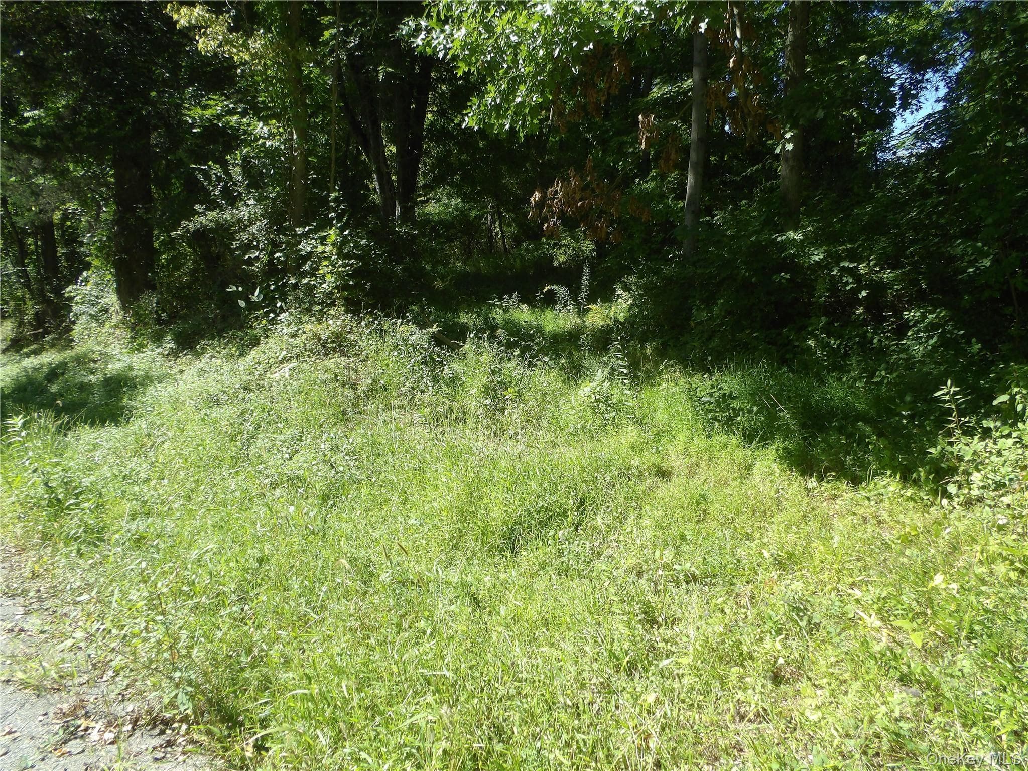 24 Hill Lane thumbnail 3