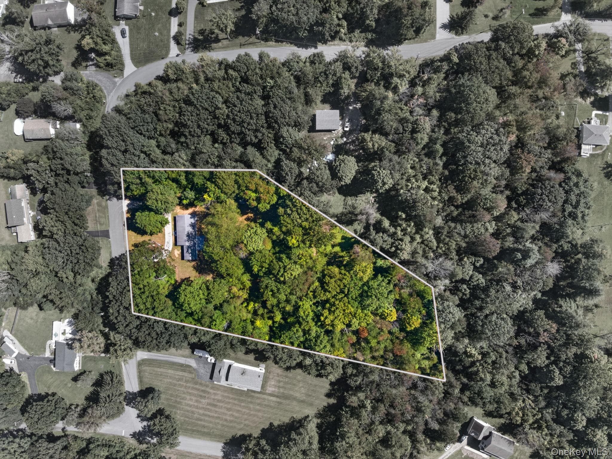 218 Johnson Road thumbnail 45