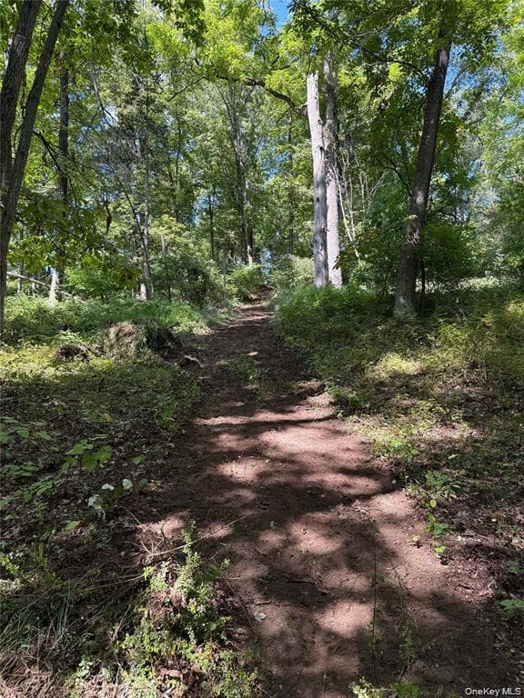 16 Almond Tree Lane thumbnail 38