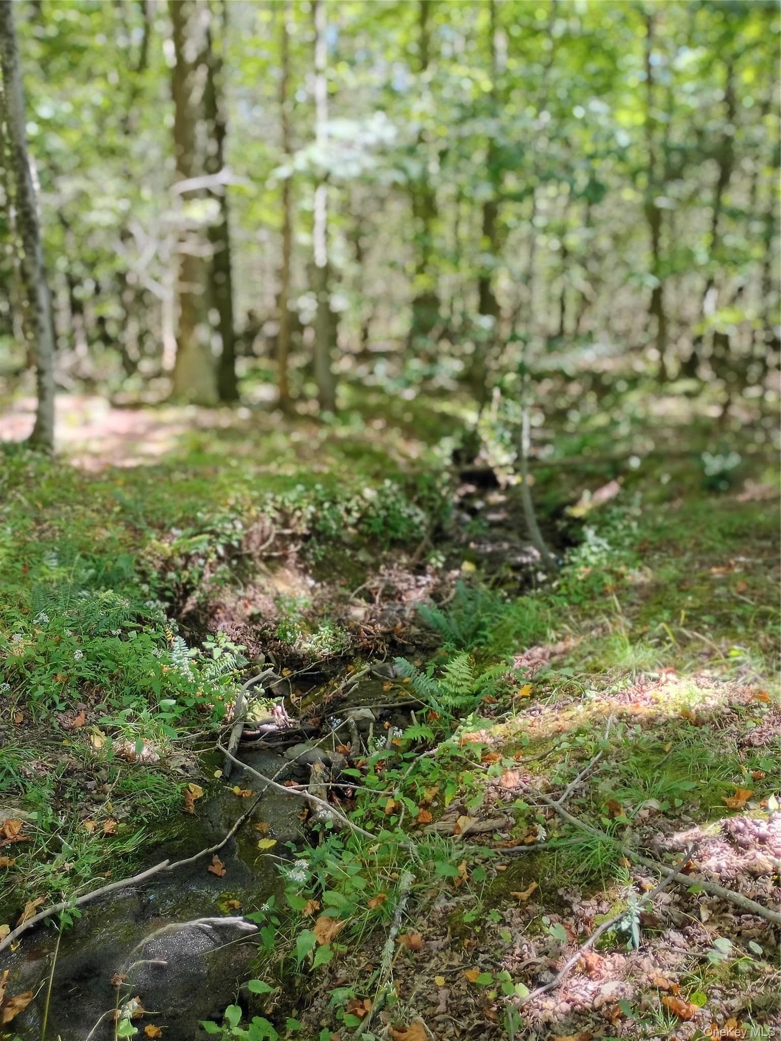 Old Loomis Road thumbnail 11