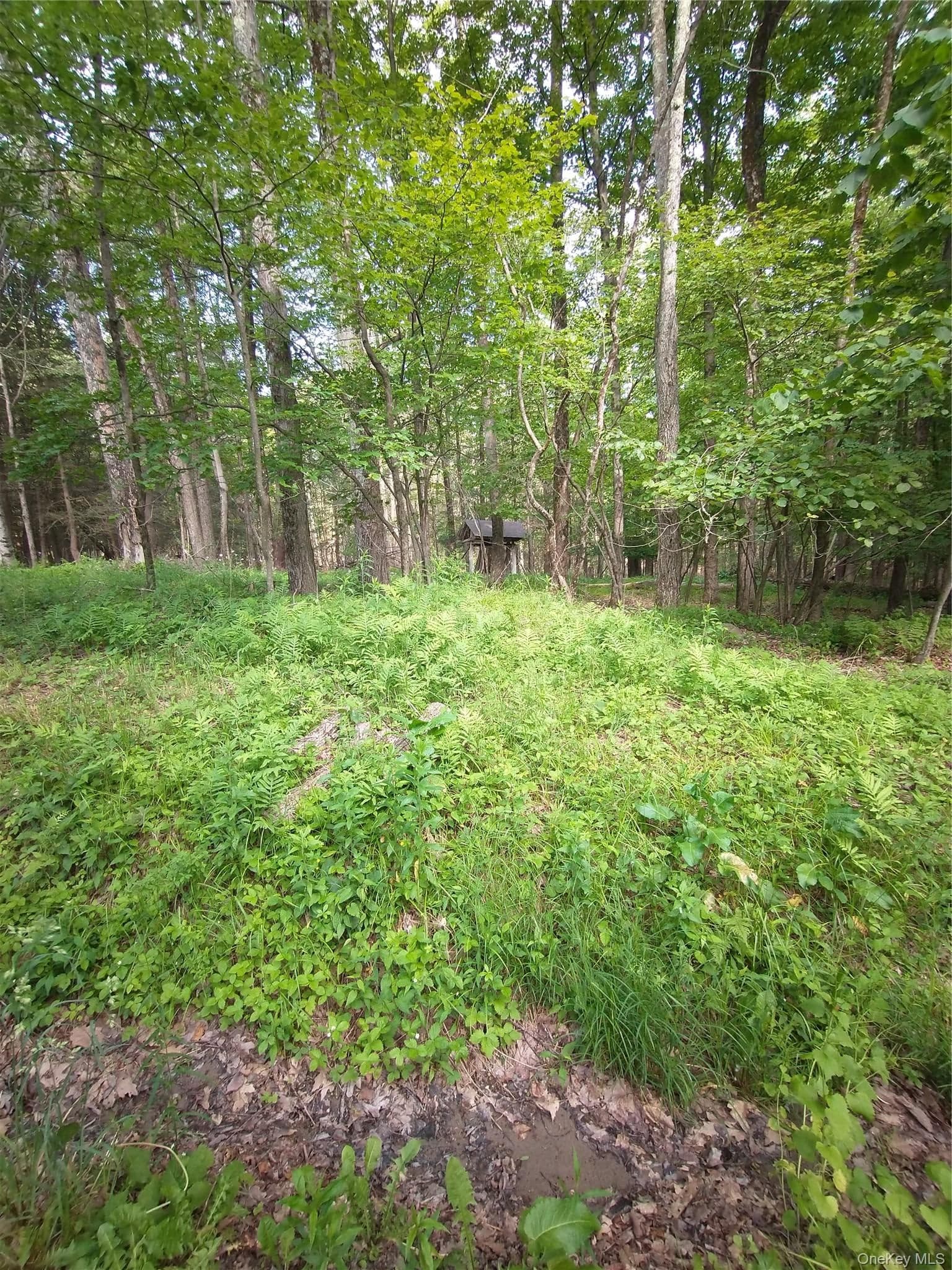 Old Loomis Road thumbnail 2