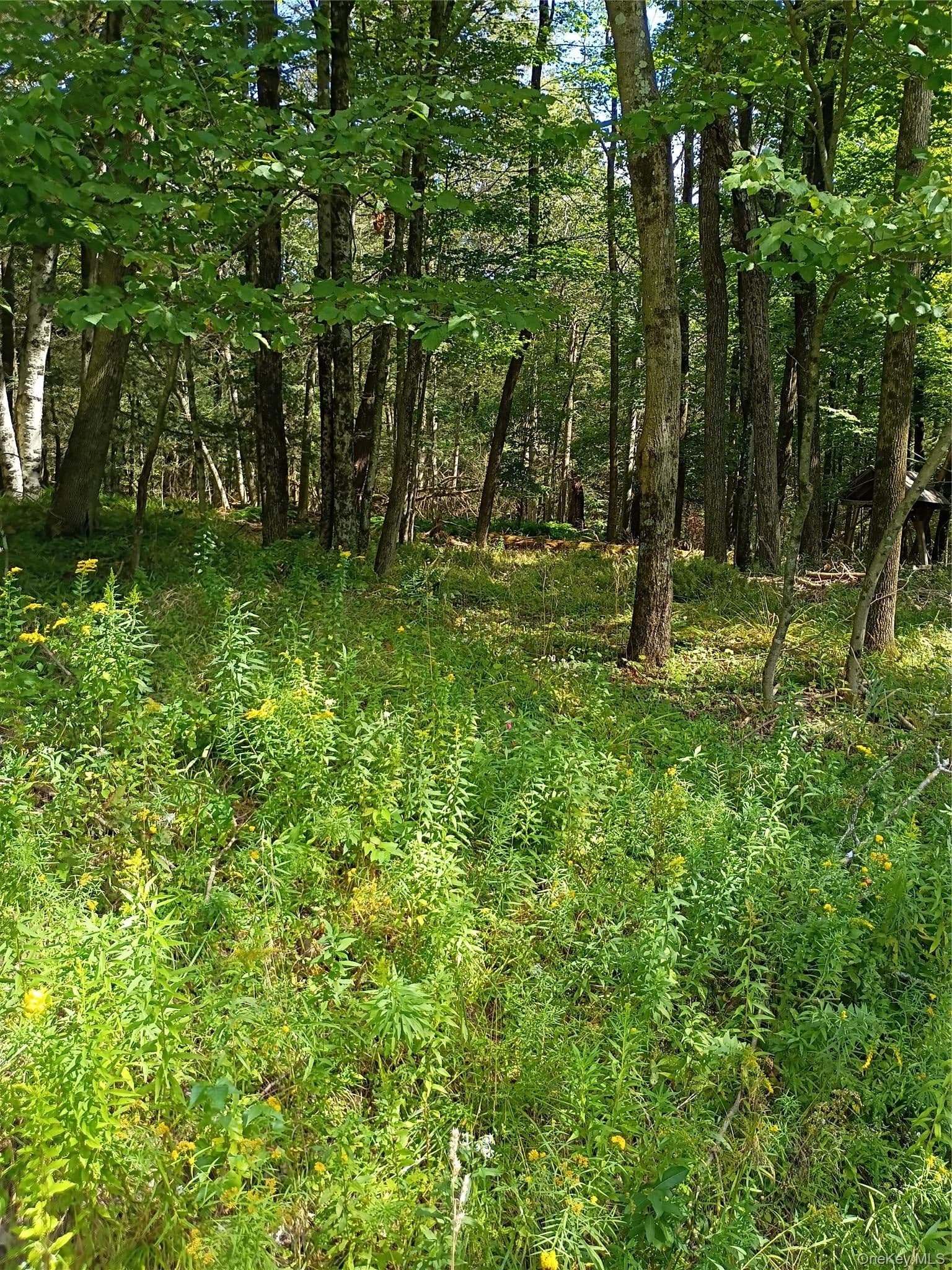 Old Loomis Road thumbnail 15