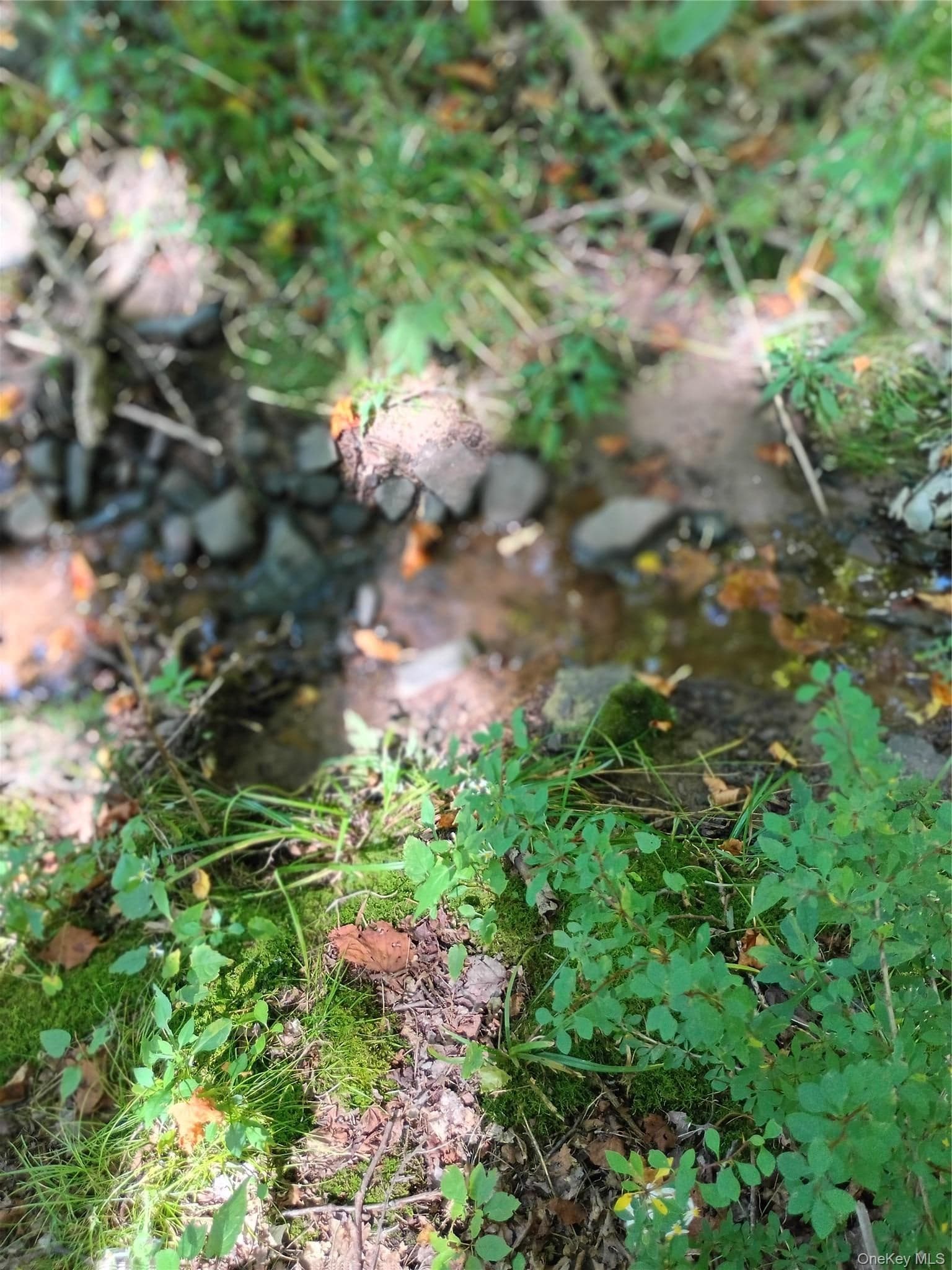 Old Loomis Road thumbnail 9