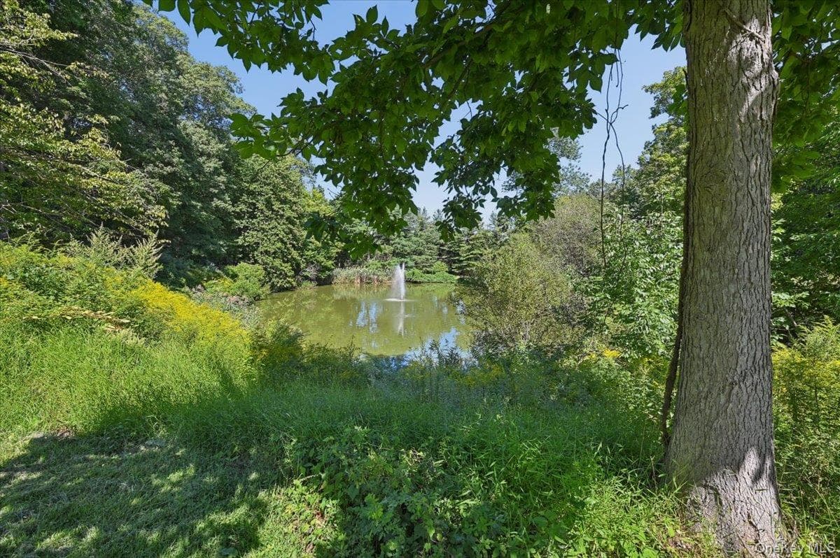 37 Clarewood Drive thumbnail 32