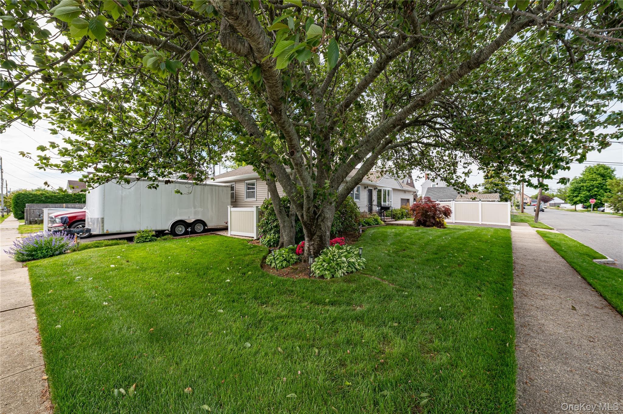 19 Buchanan Avenue thumbnail 5