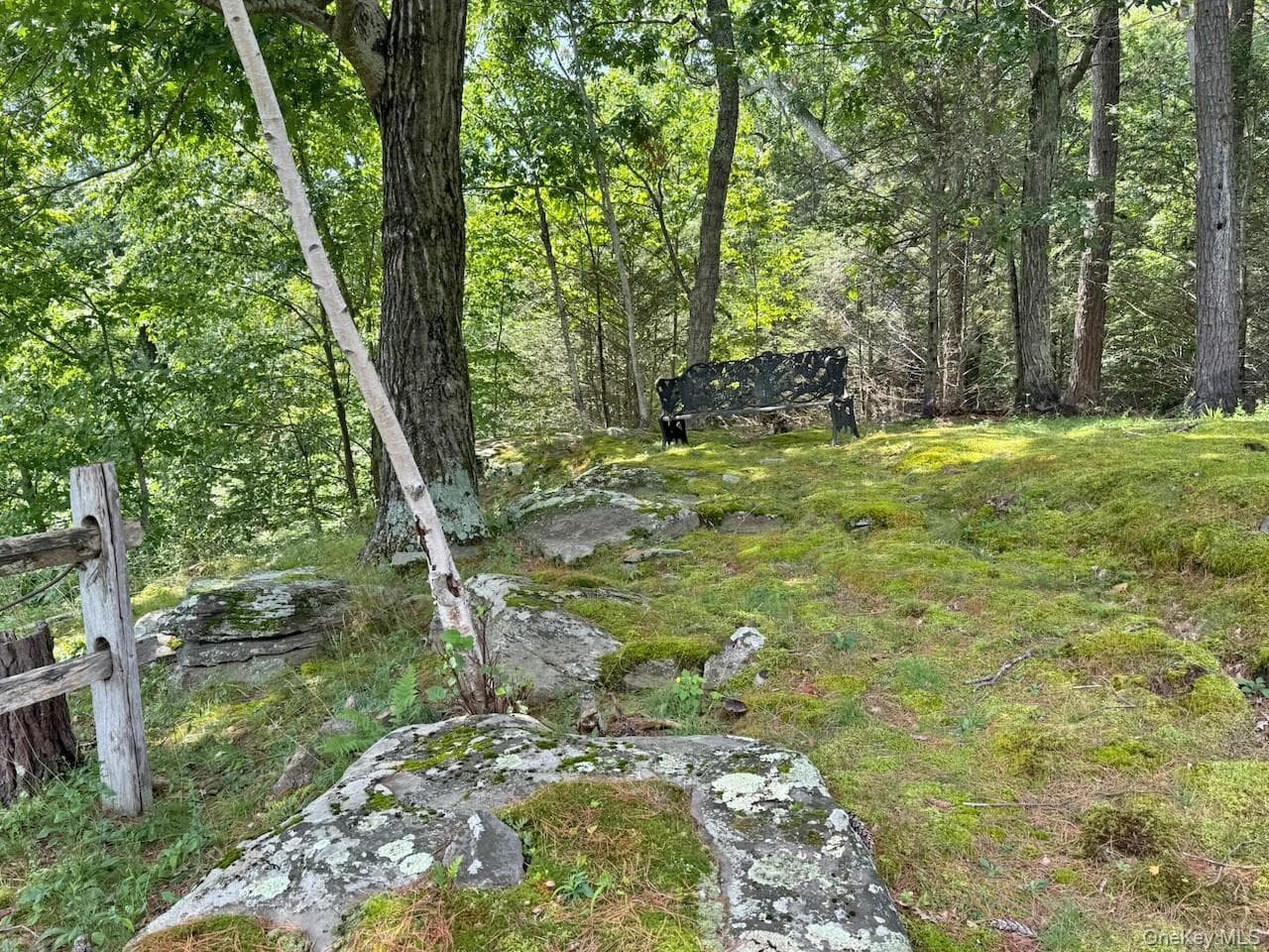 828 W Saugerties Woodstock Road thumbnail 44
