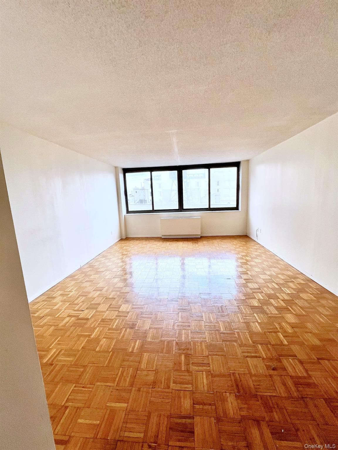 376 Broadway Unit: 11D thumbnail 6