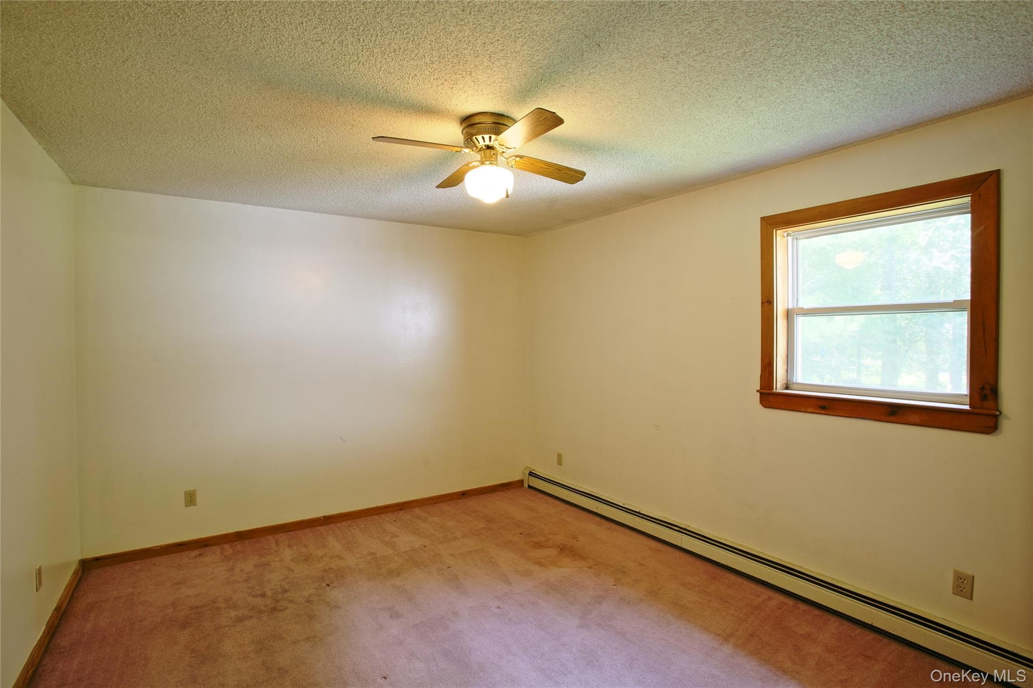 16 Elizabeth Drive thumbnail 17