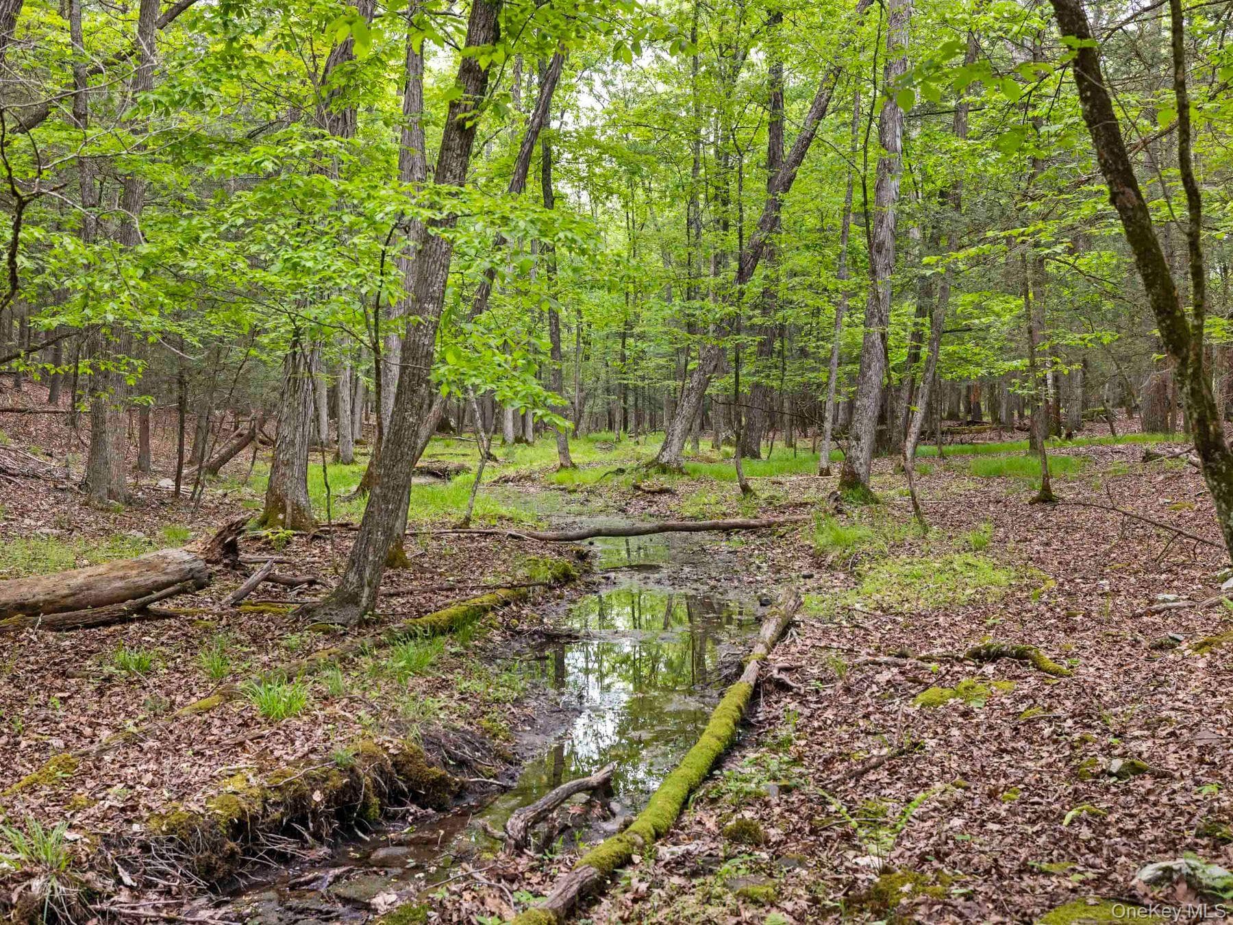 40 Mamoud Hills, Lot #4 Road thumbnail 39