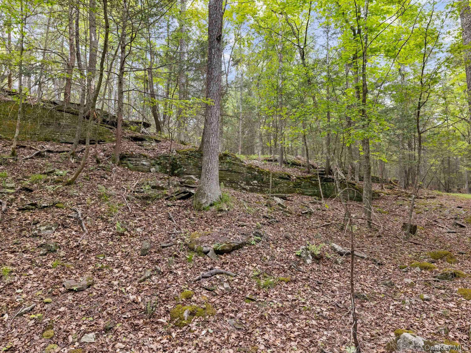 40 Mamoud Hills, Lot #4 Road thumbnail 33
