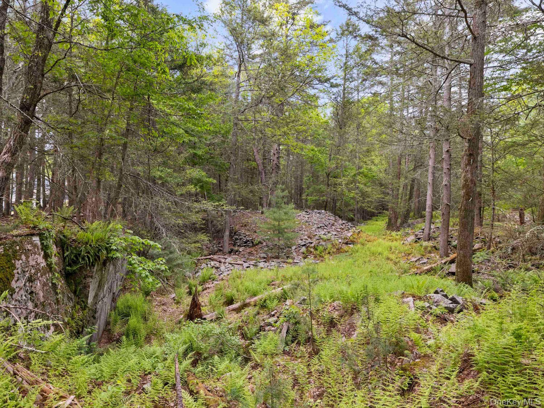 40 Mamoud Hills, Lot #4 Road thumbnail 34