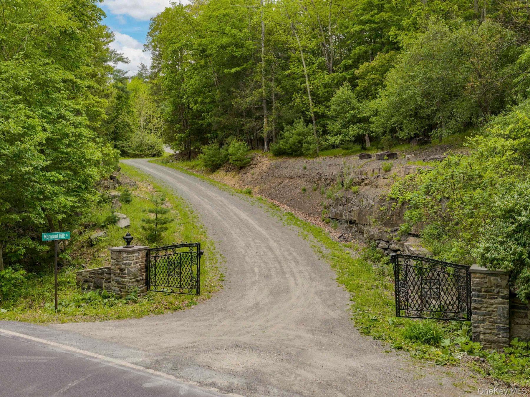 40 Mamoud Hills, Lot #4 Road thumbnail 4