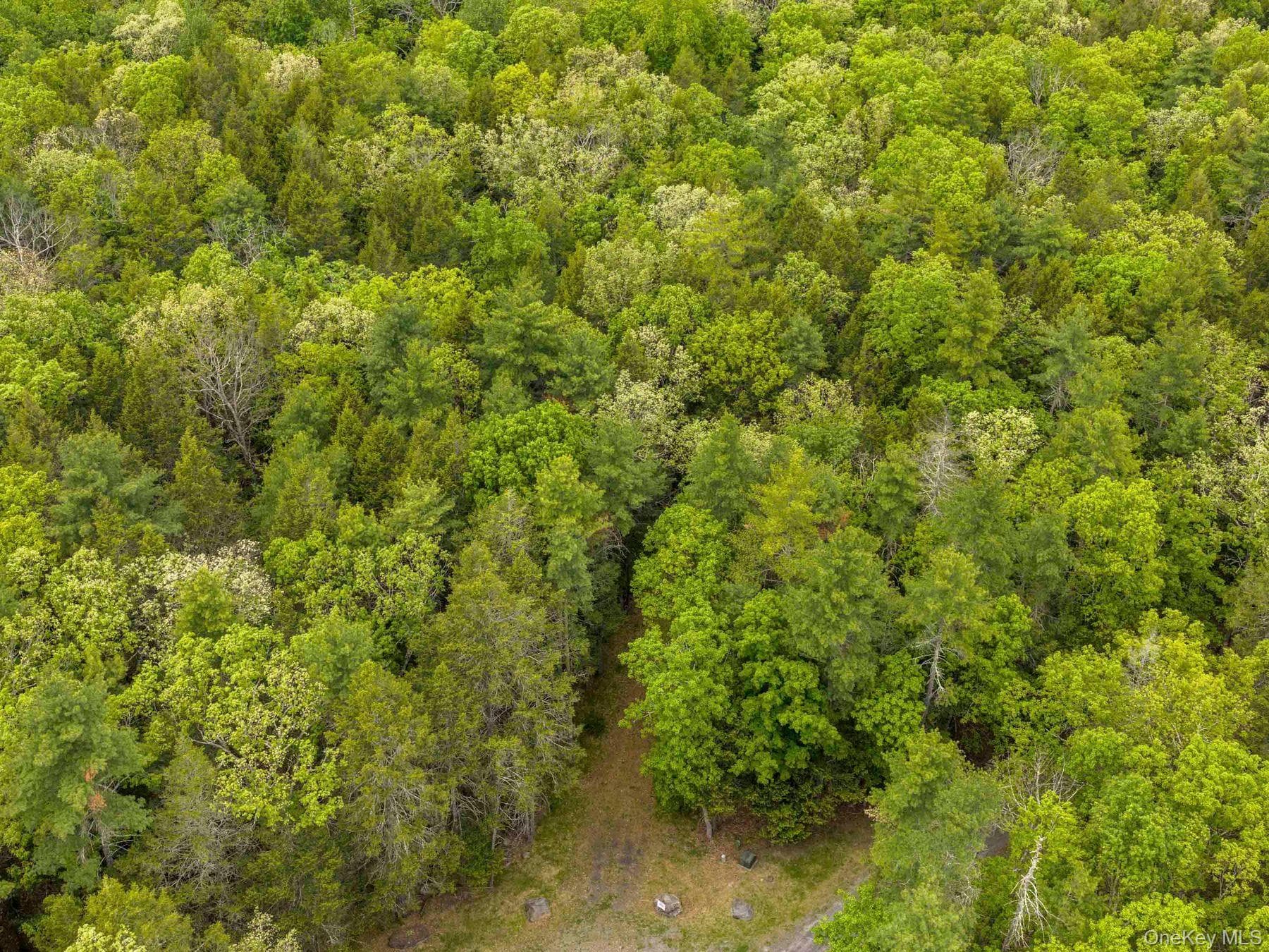40 Mamoud Hills, Lot #4 Road thumbnail 26
