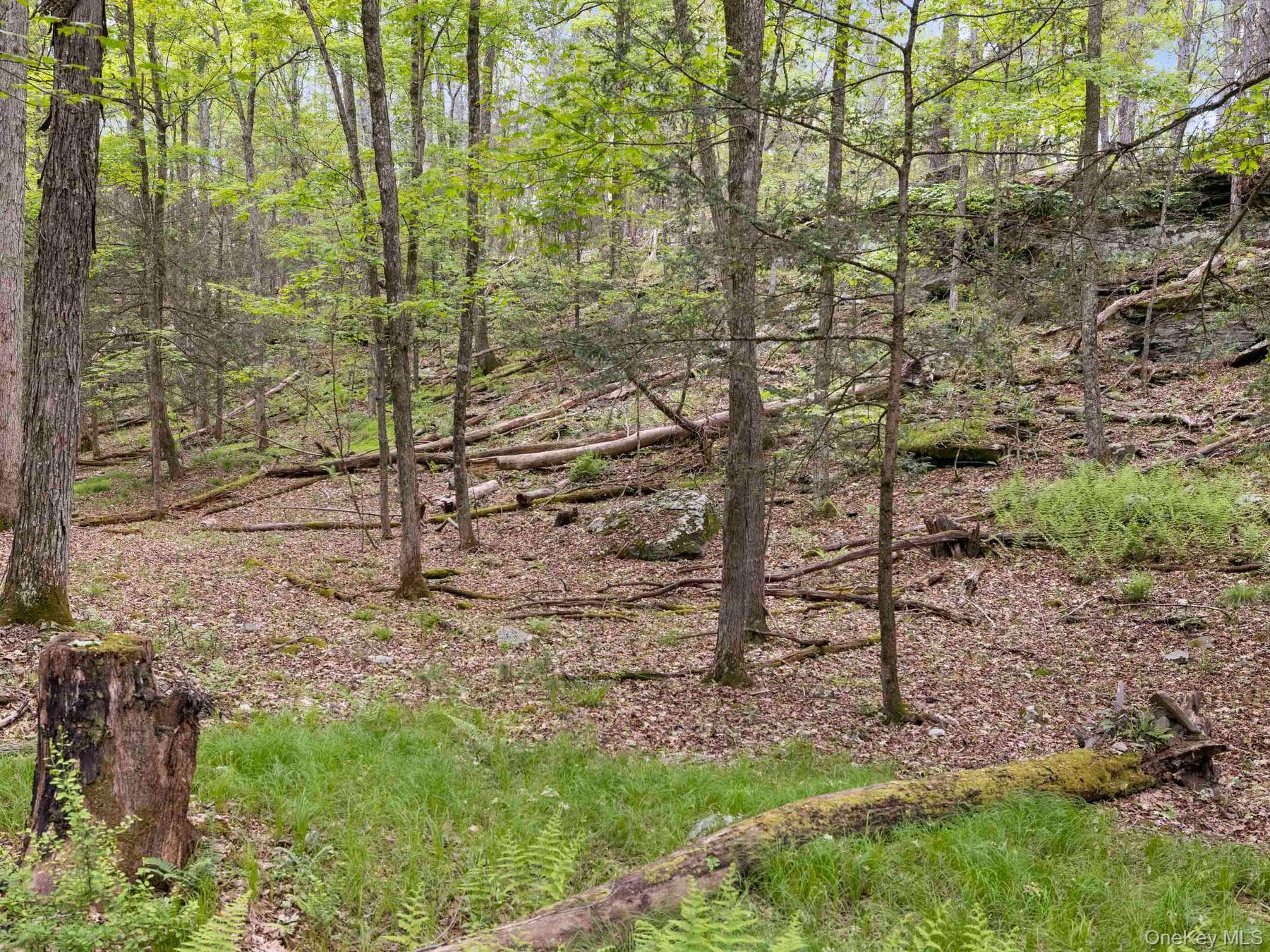 40 Mamoud Hills, Lot #4 Road thumbnail 30