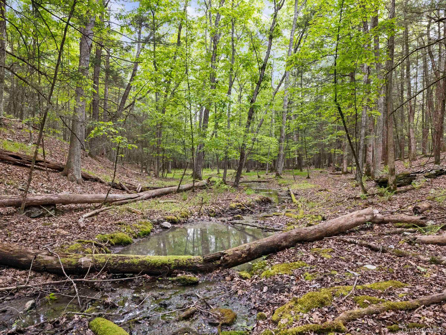 40 Mamoud Hills, Lot #4 Road thumbnail 38