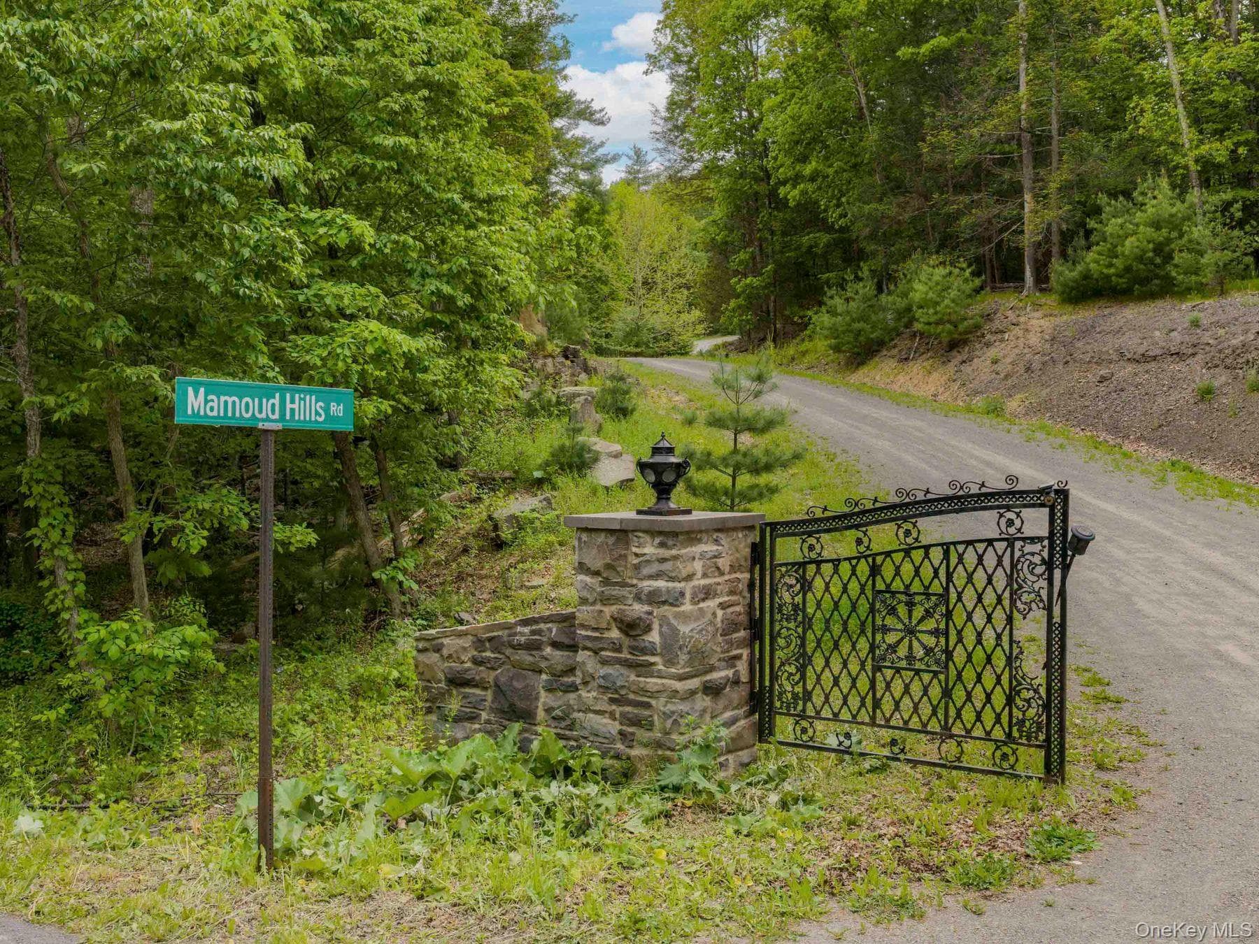 40 Mamoud Hills, Lot #4 Road thumbnail 3