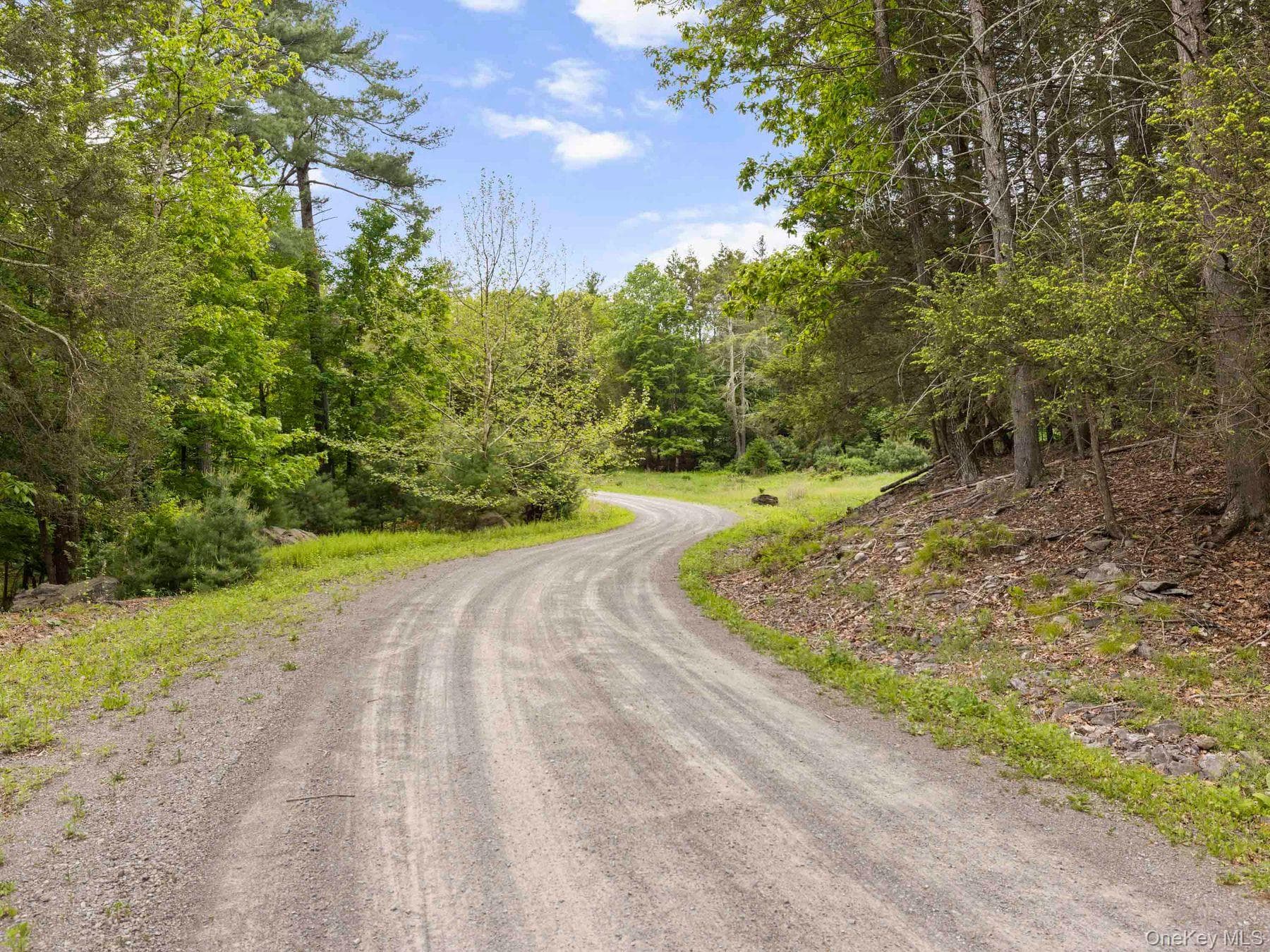 40 Mamoud Hills, Lot #4 Road thumbnail 13