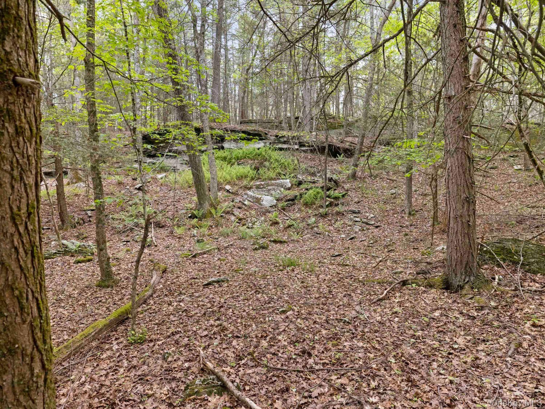 40 Mamoud Hills, Lot #4 Road thumbnail 32