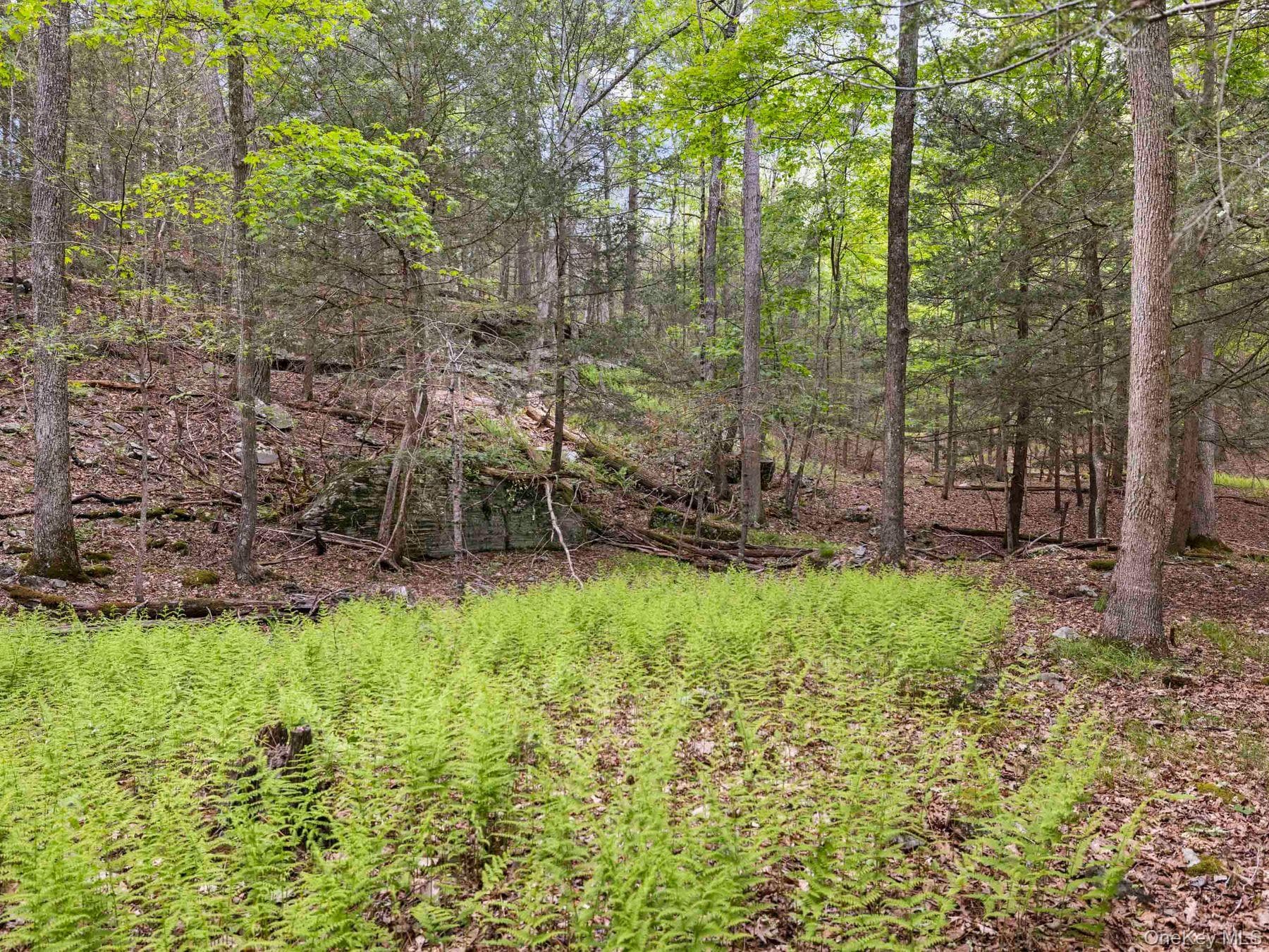 40 Mamoud Hills, Lot #4 Road thumbnail 29