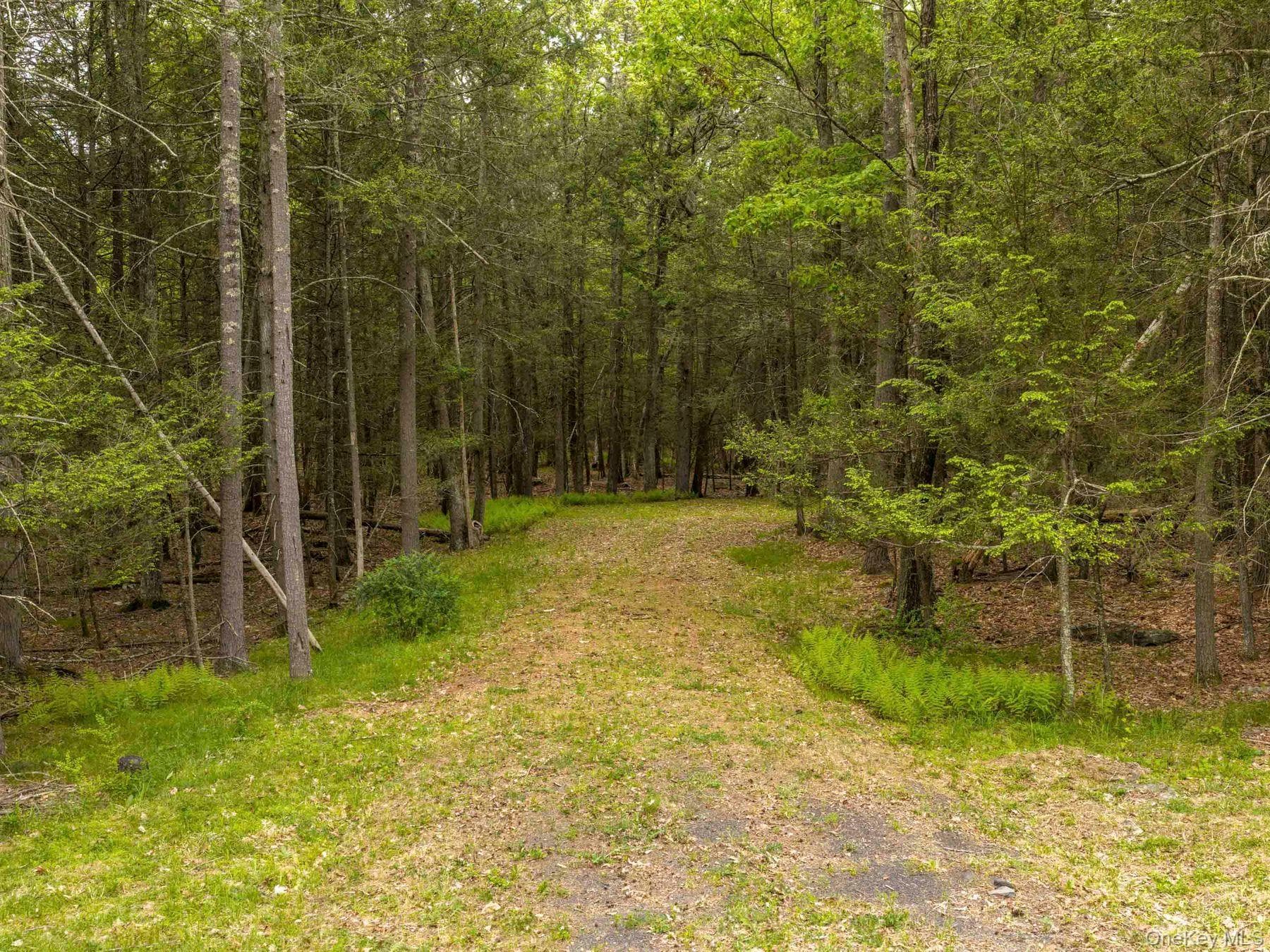 40 Mamoud Hills, Lot #4 Road thumbnail 25
