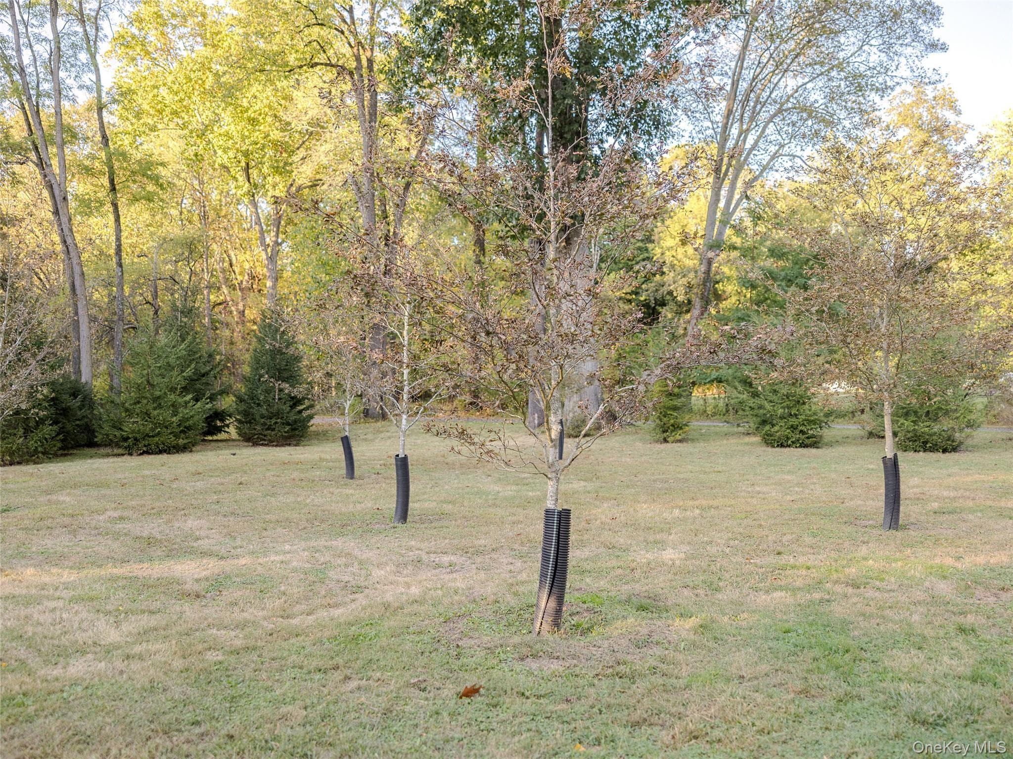 63 Colonial Avenue thumbnail 30