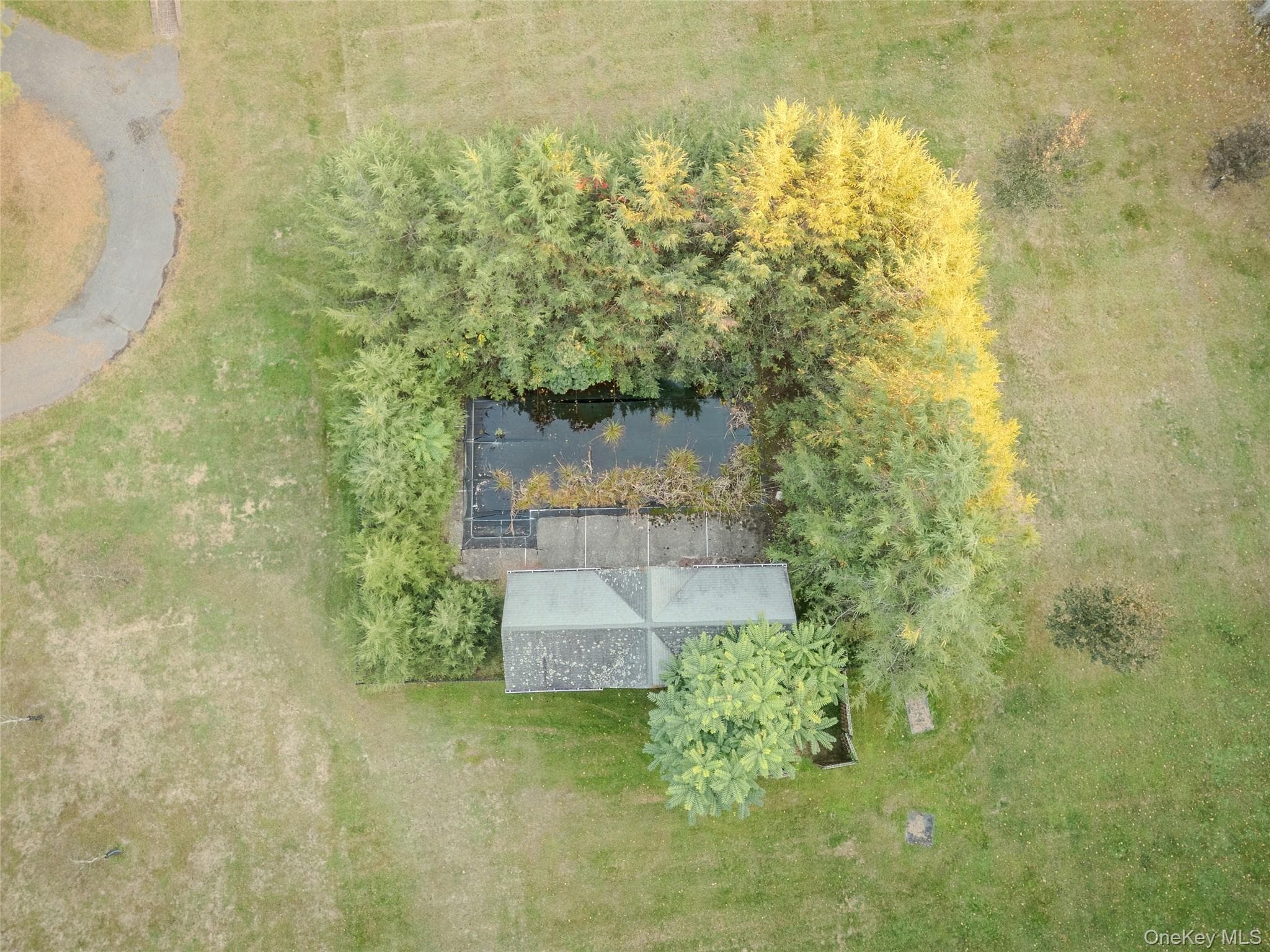 63 Colonial Avenue thumbnail 32