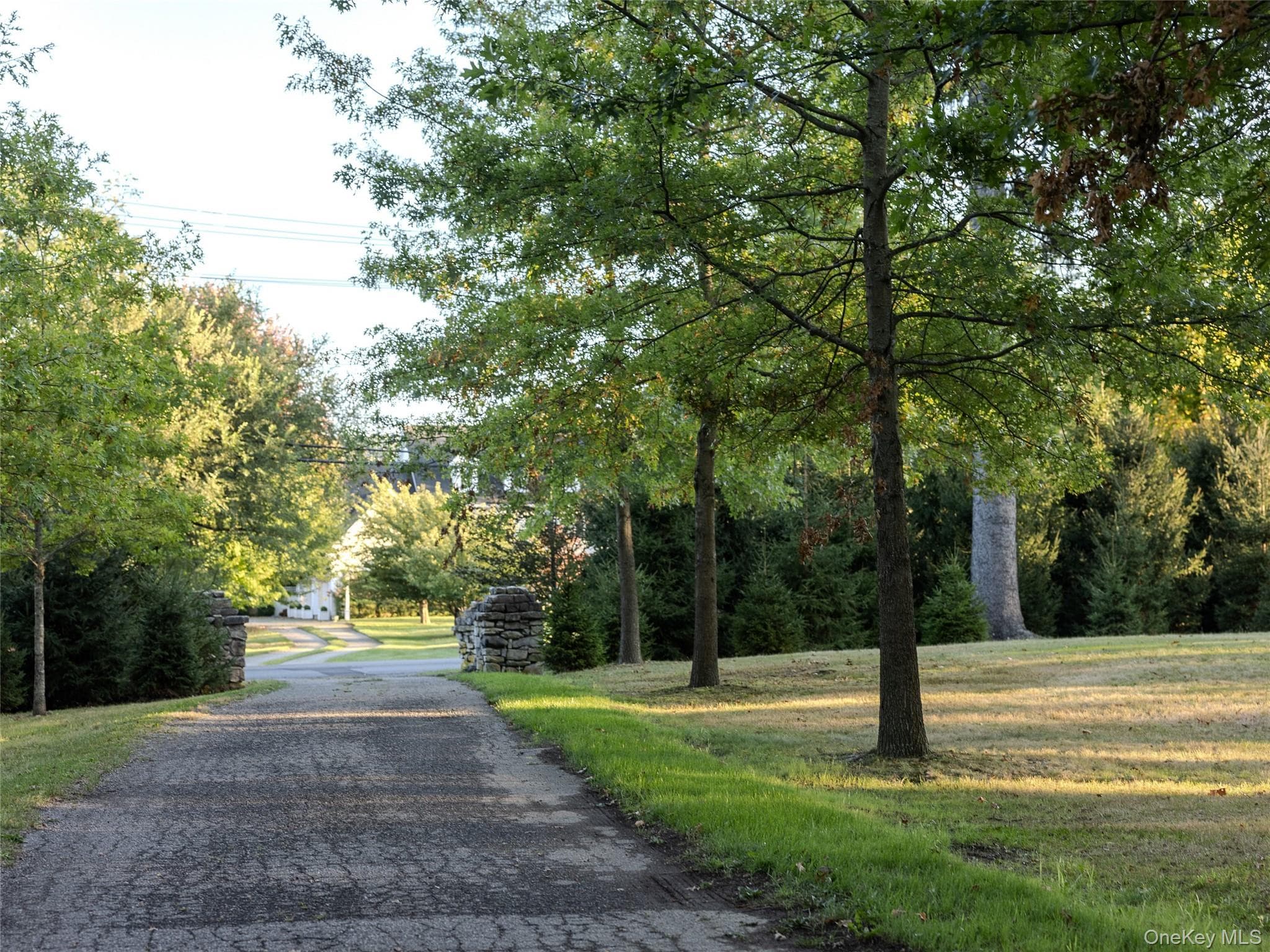 63 Colonial Avenue thumbnail 35