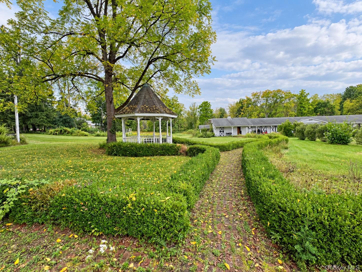 39 Maple Avenue thumbnail 9
