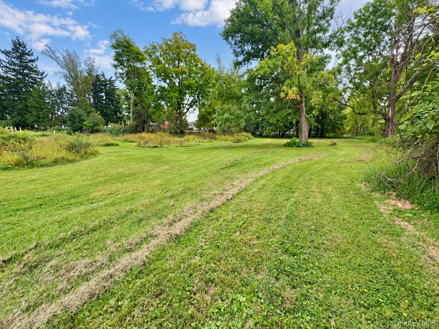 39 Maple Avenue thumbnail 18