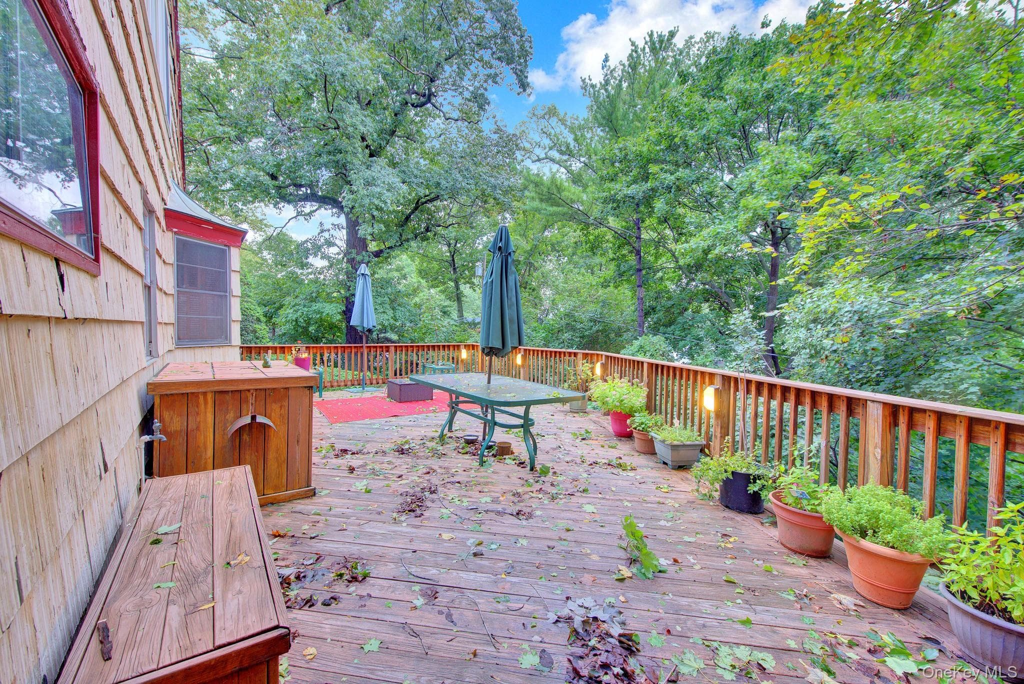 6 Soundview Road thumbnail 28