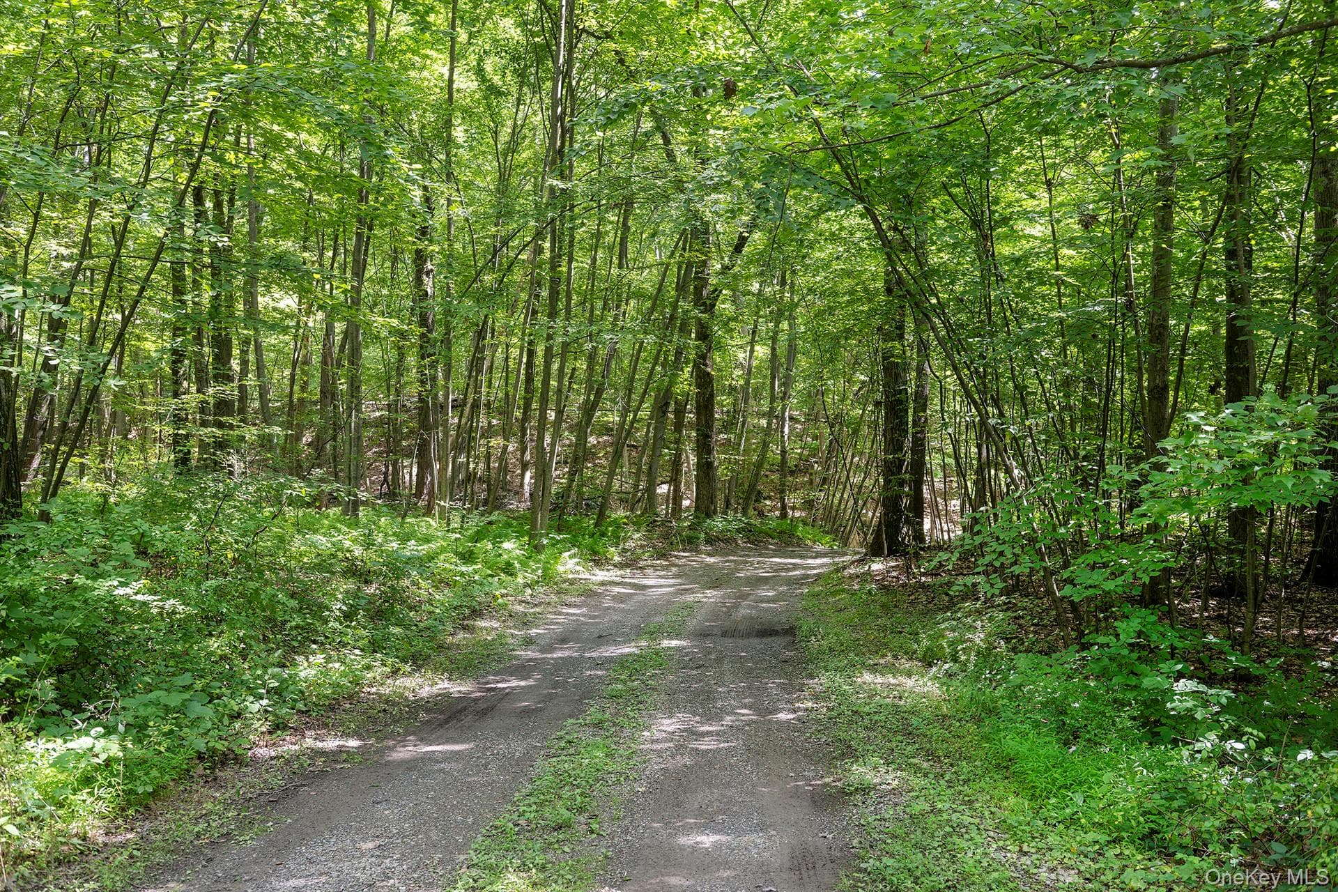 137 Old Camby Road thumbnail 45