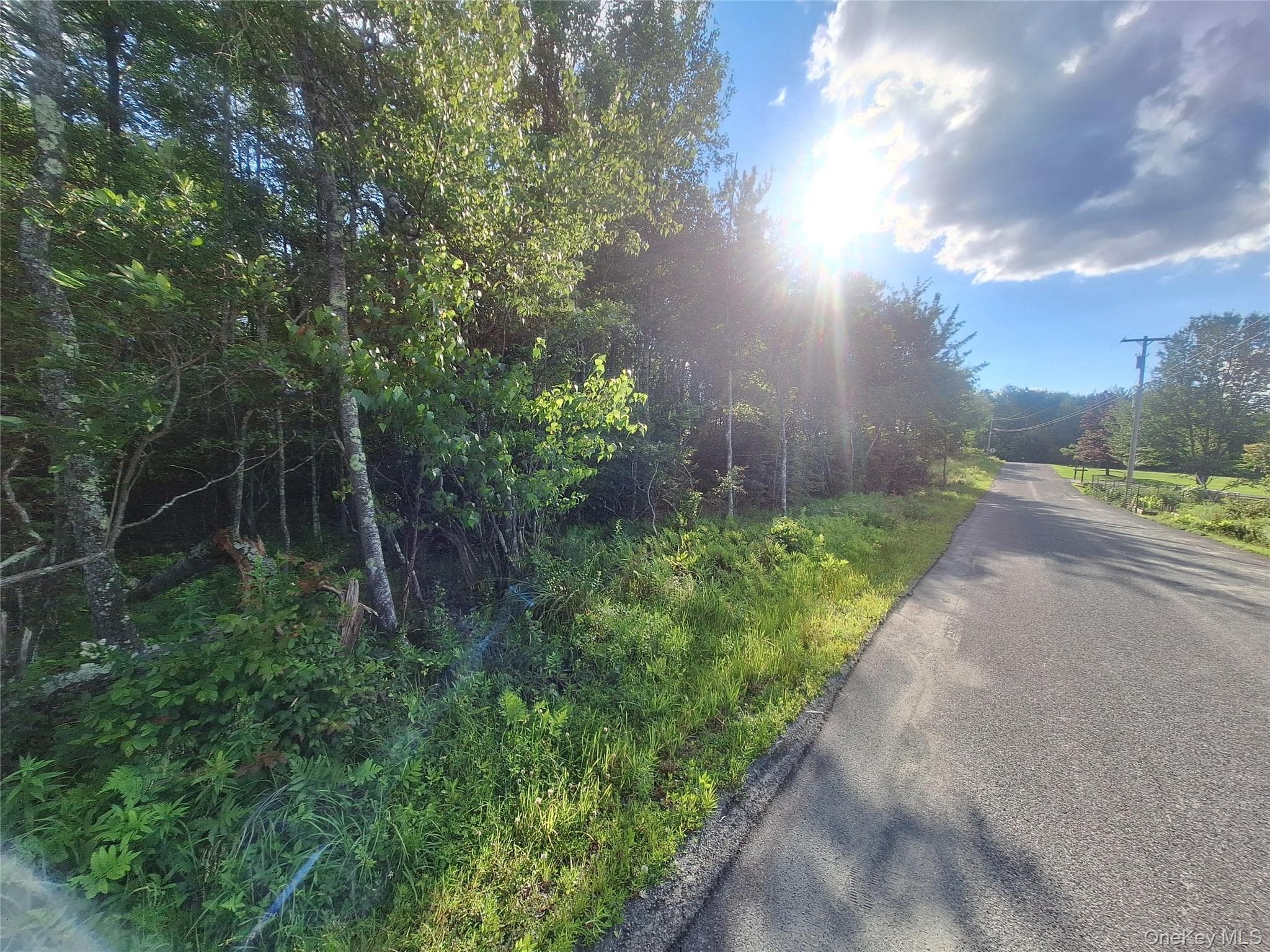 Burnt Ridge Road thumbnail 34