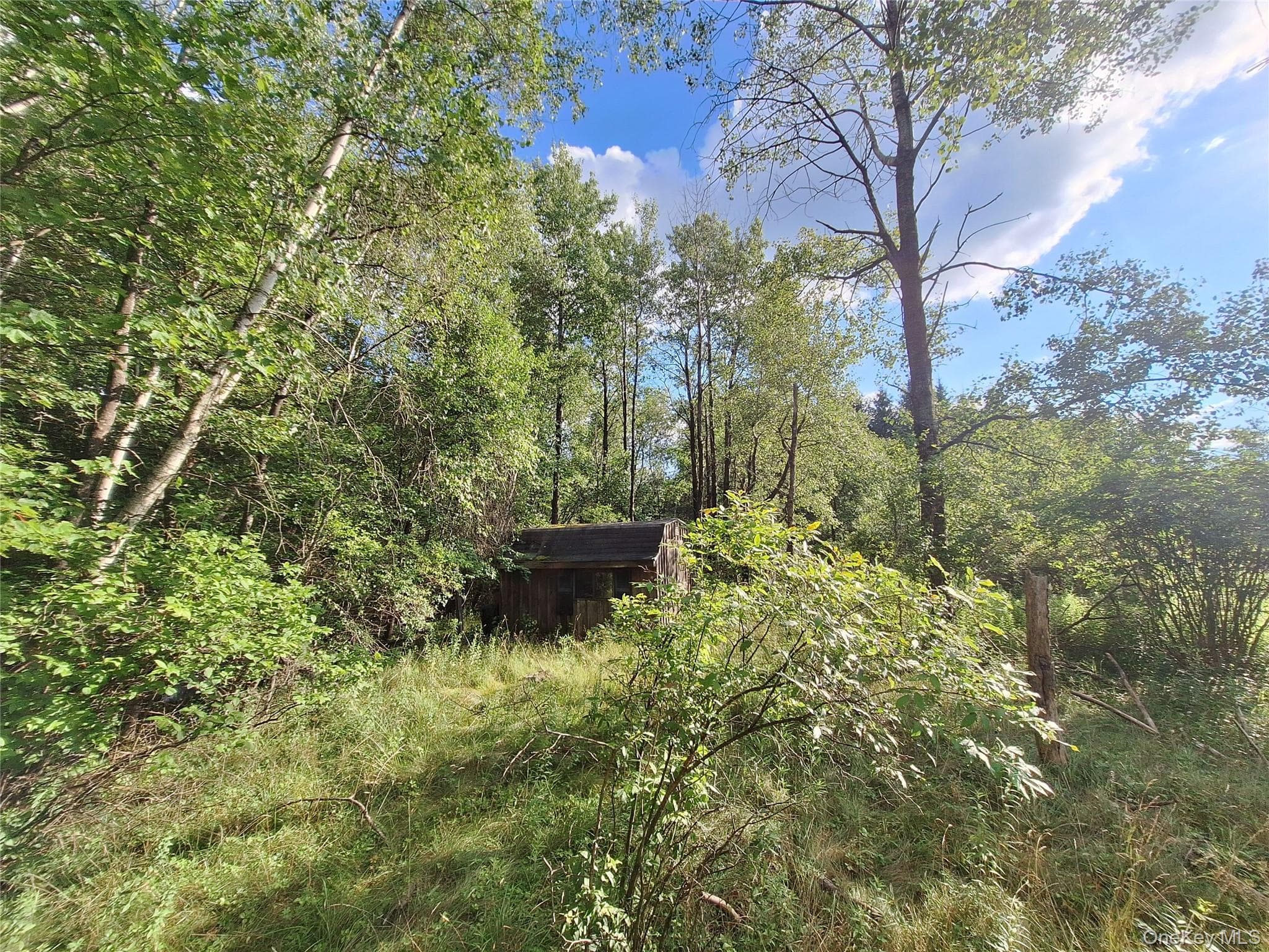 Burnt Ridge Road thumbnail 15